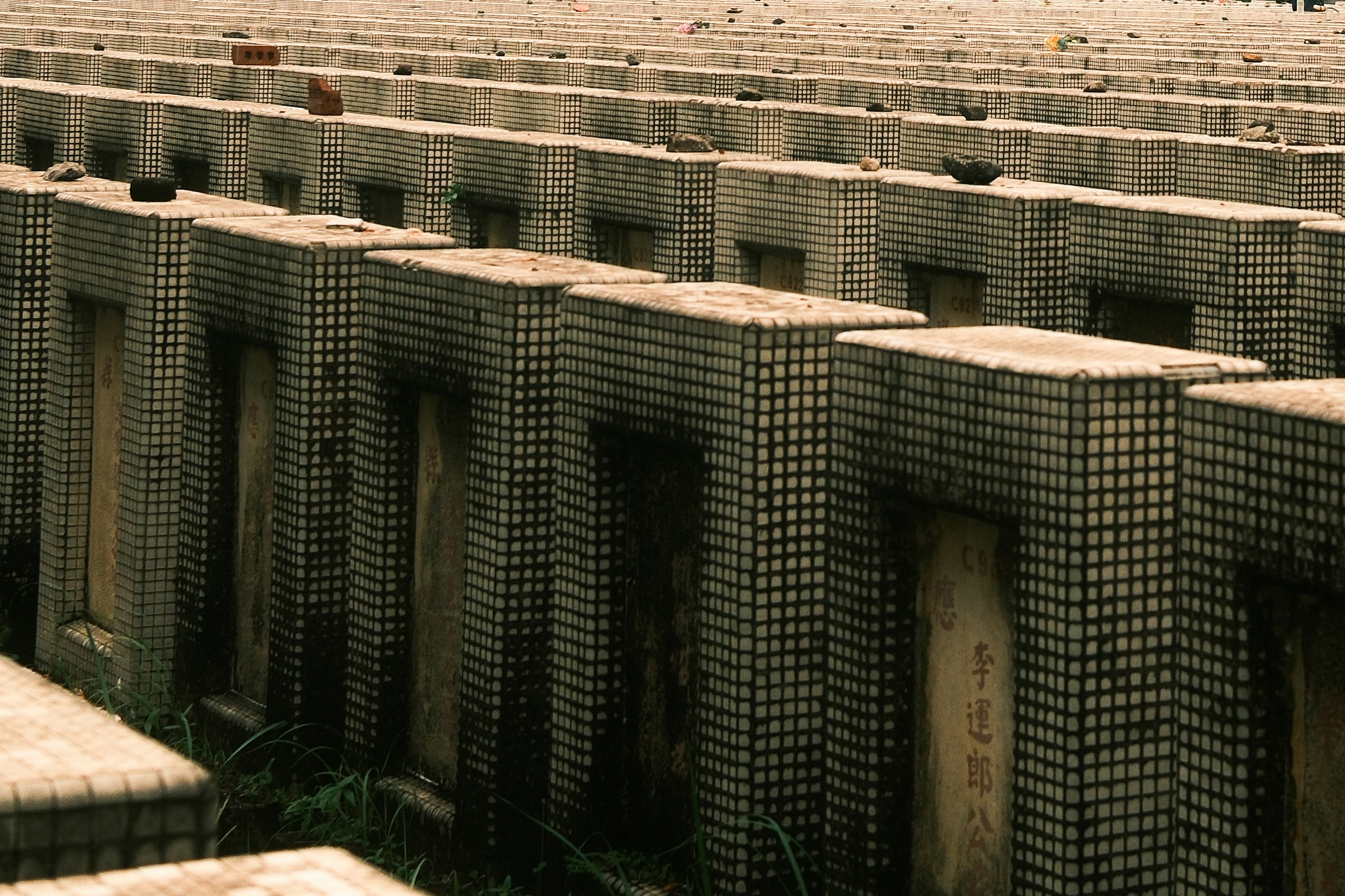 Photo by jaydraws2019