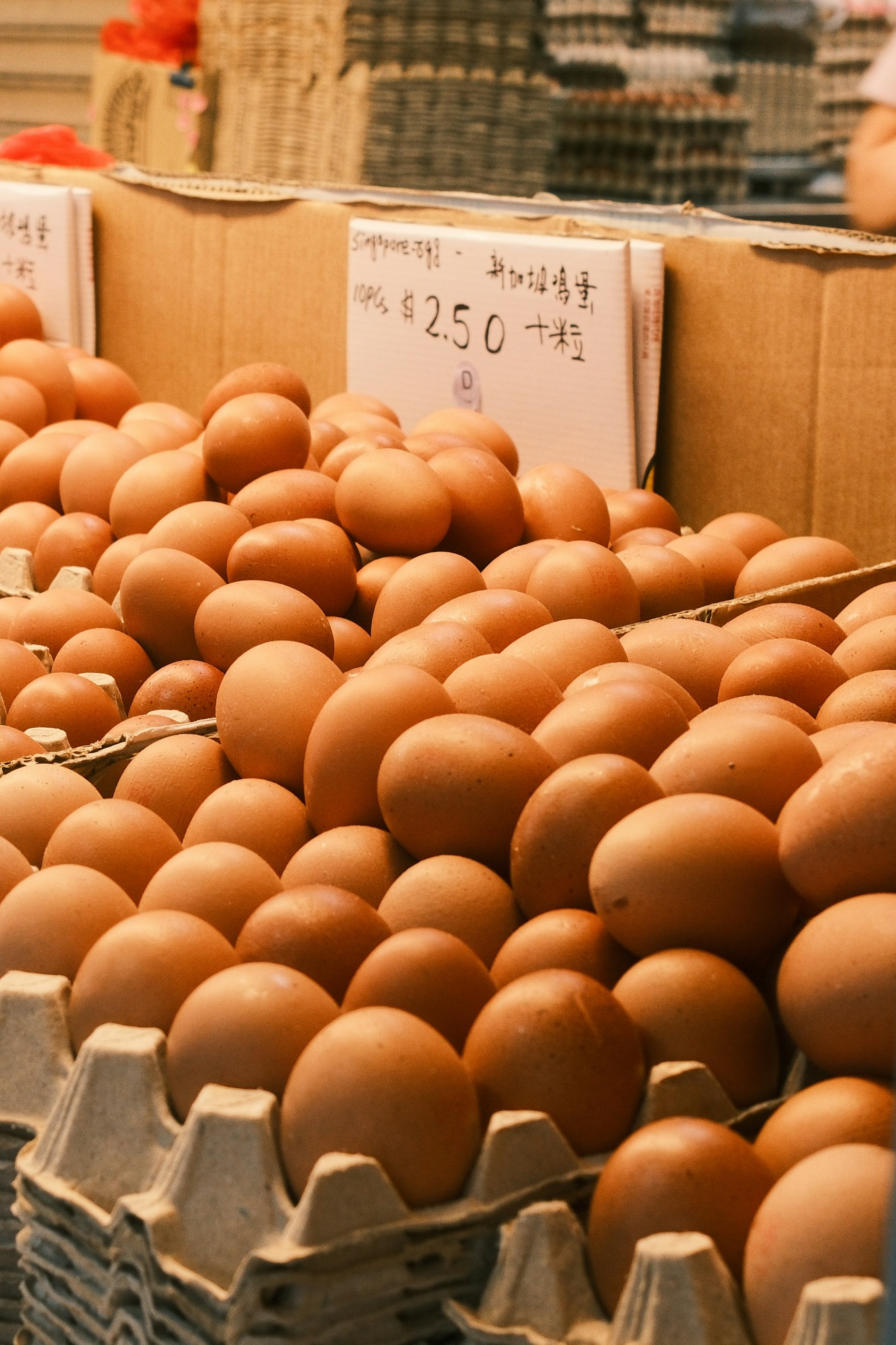Numerous brown eggs displayed in carton egg for global egg market