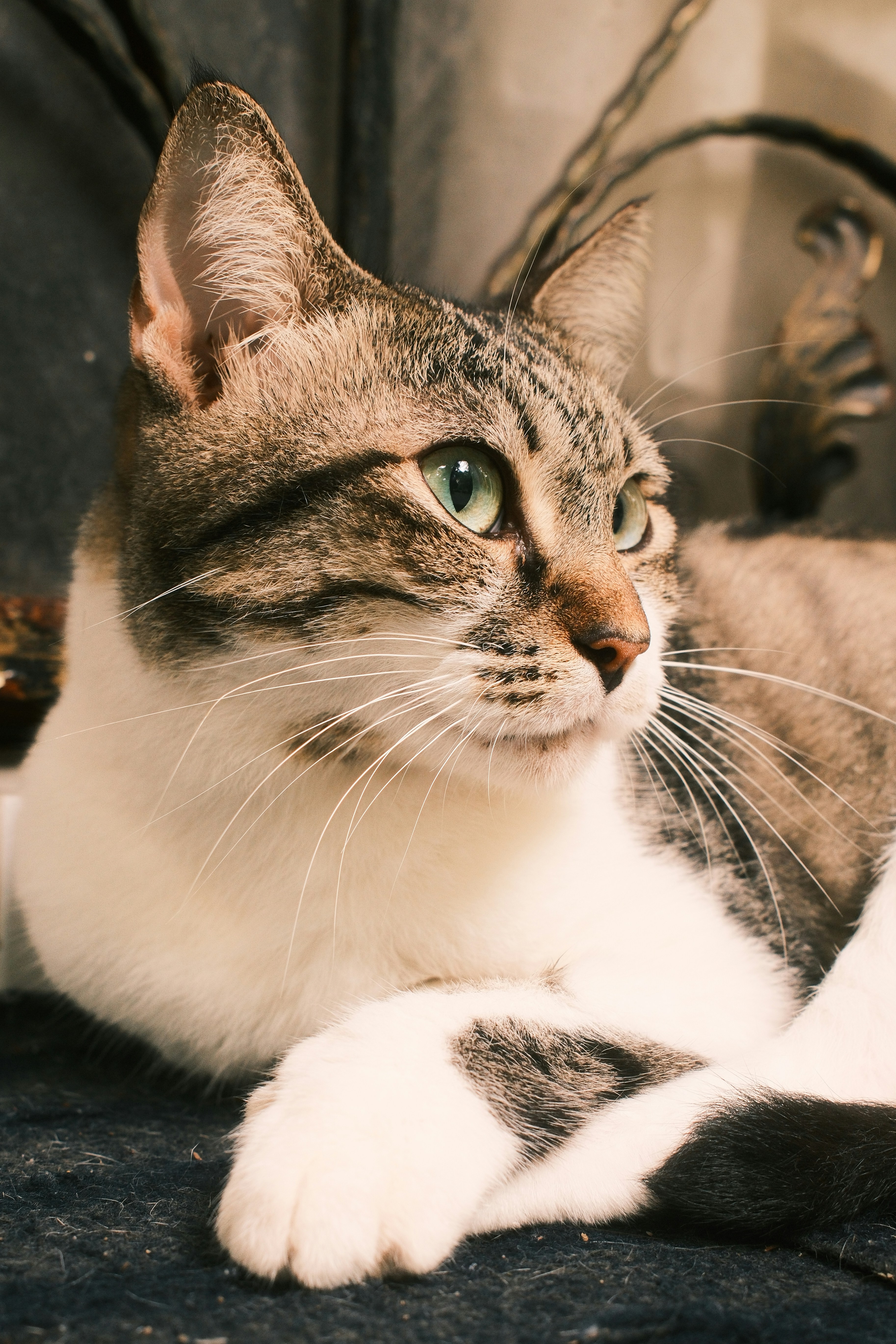 Photo by jaydraws2019