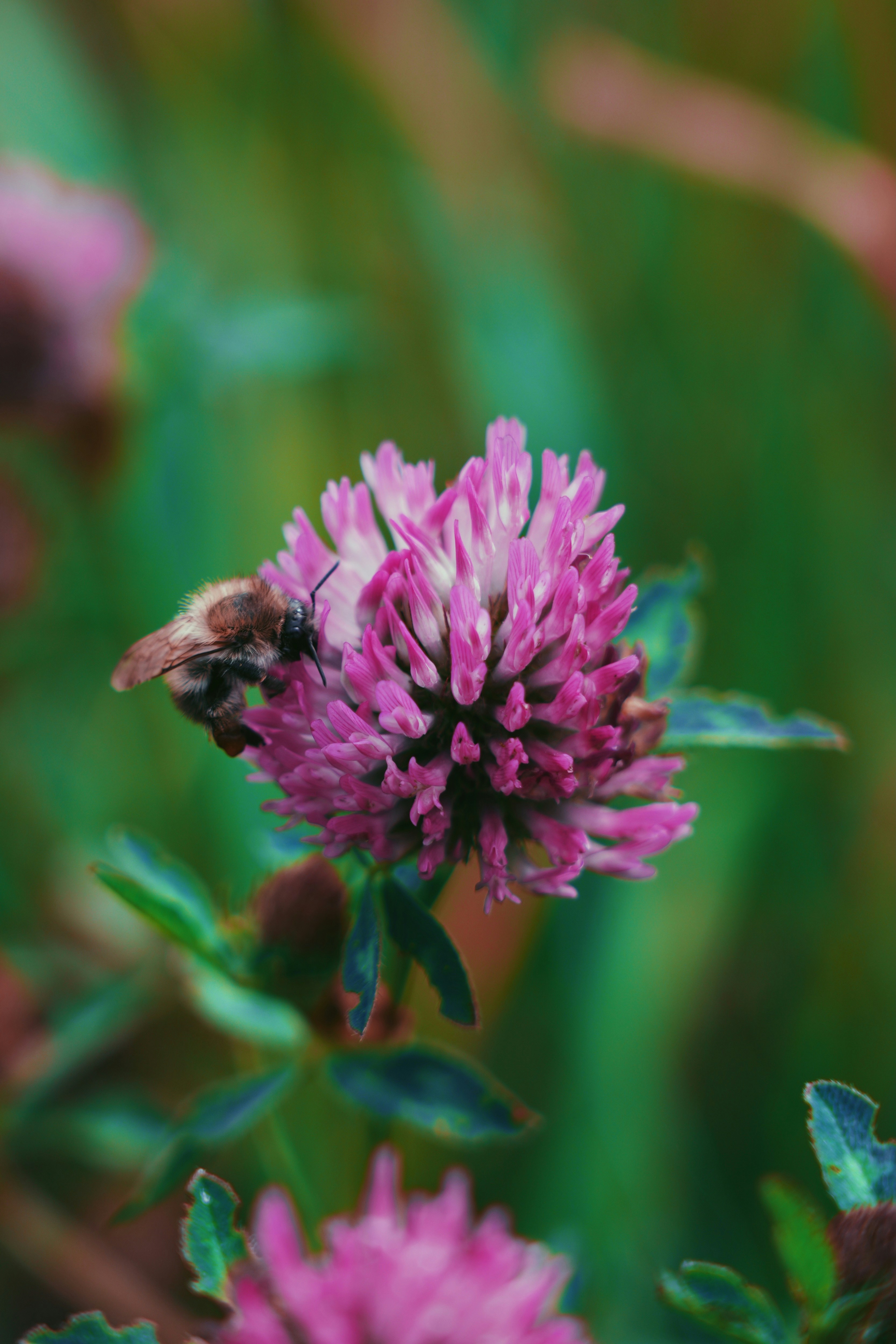 Ein veröffentlichtes Foto