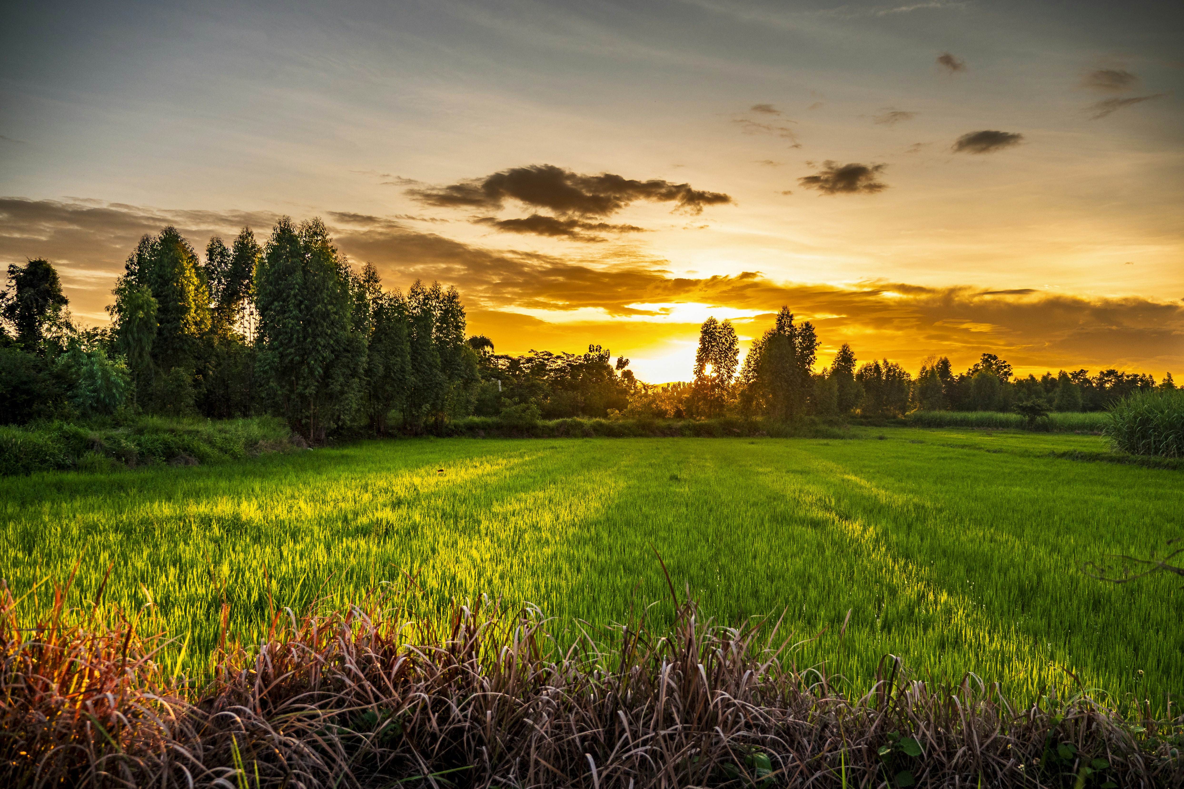 멀시핸즈 레터 💜 "하나님은 나를 긍휼히 여기신다" 2025. 12. 6