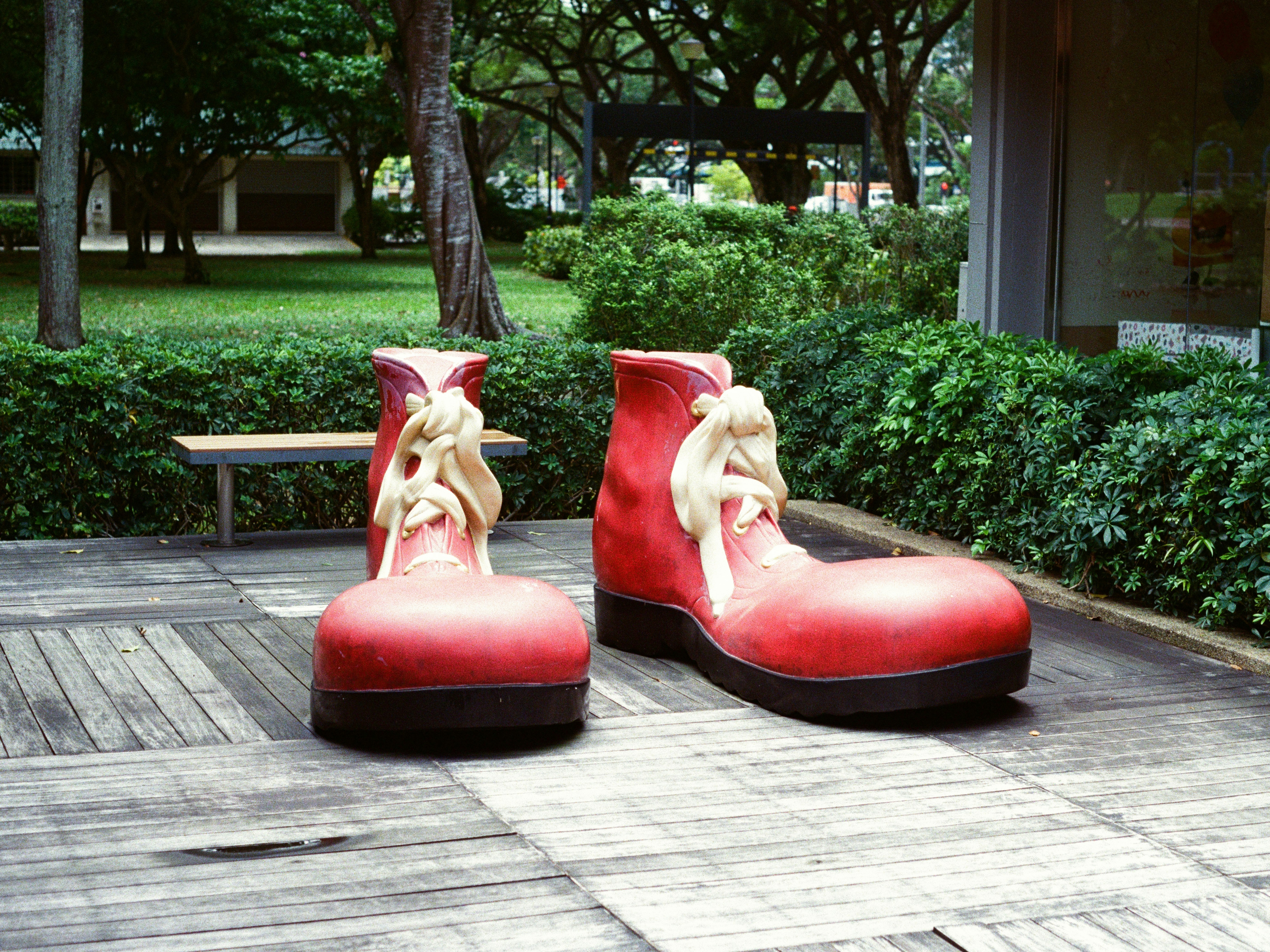 Pair of comfortable shoes