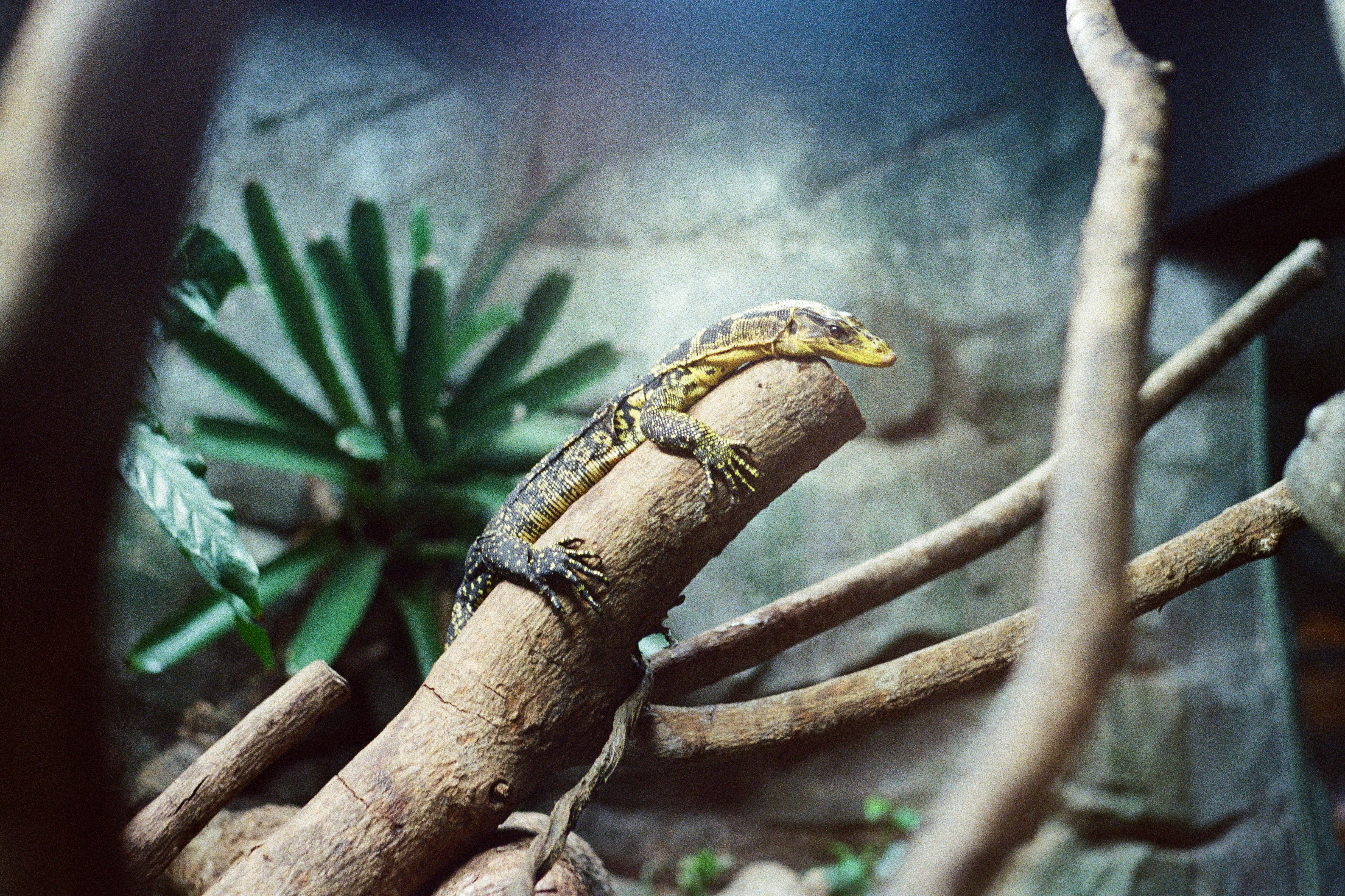 Photo by krzhck