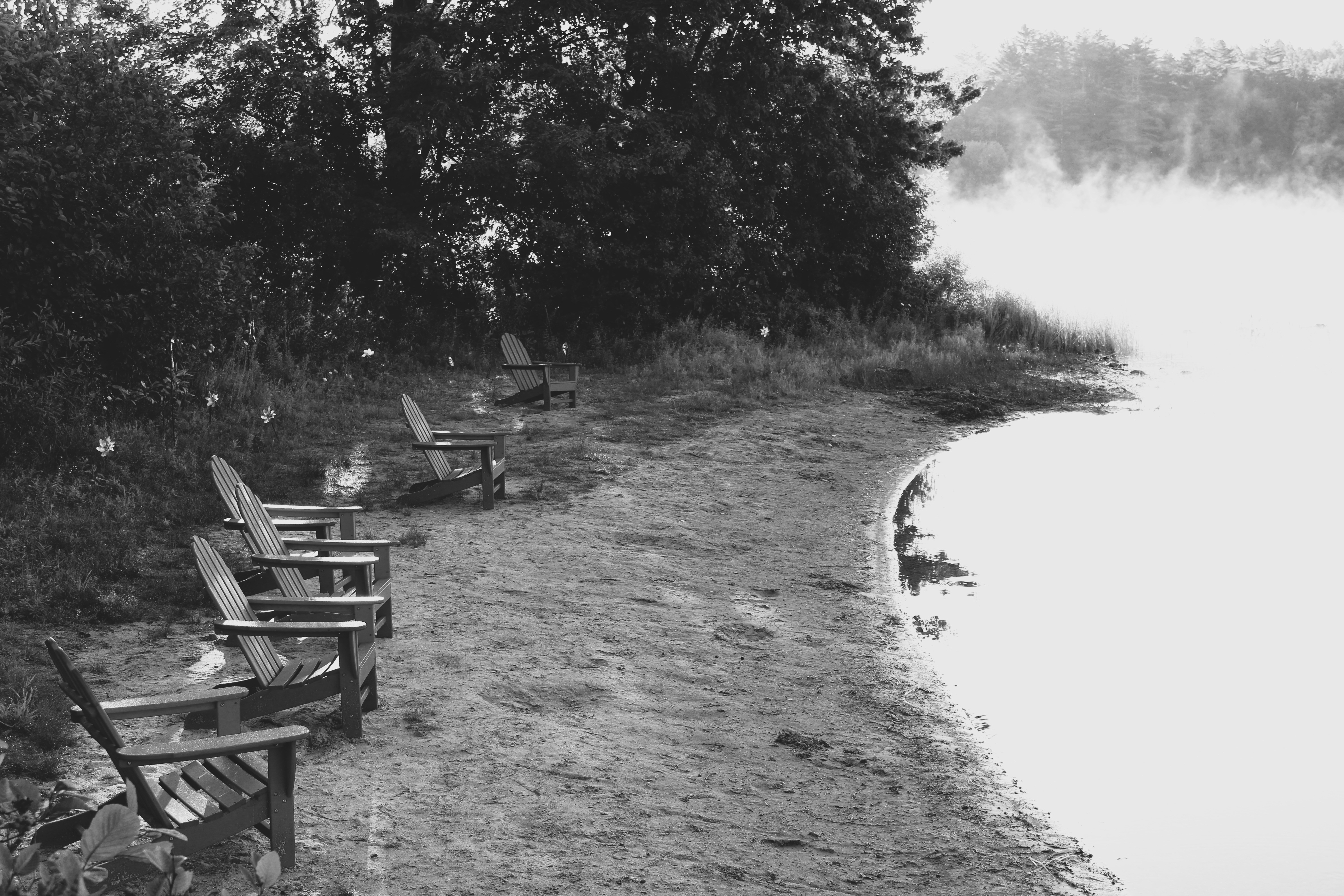 Photo by sbmcphotography