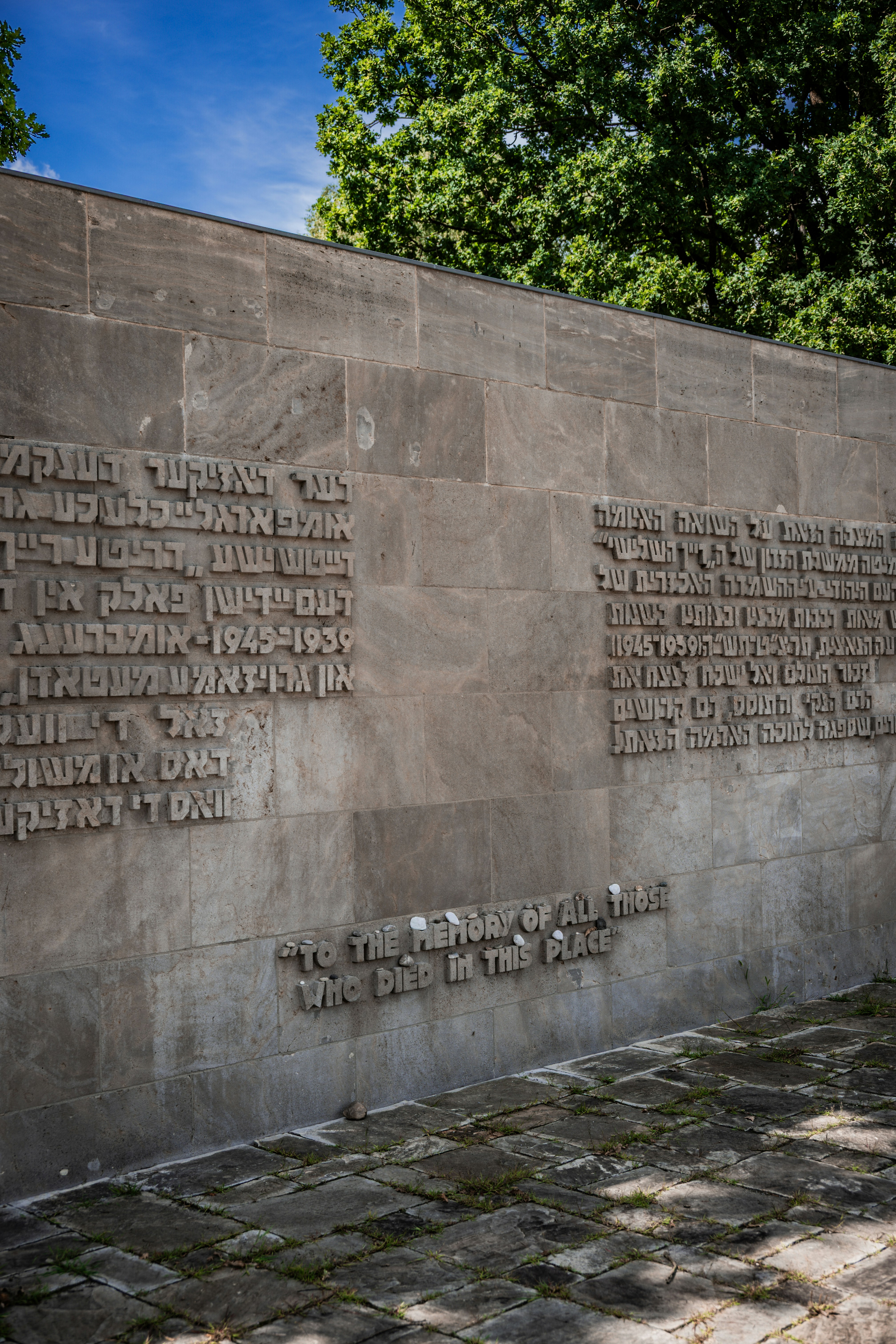 Photo by justmejuliee