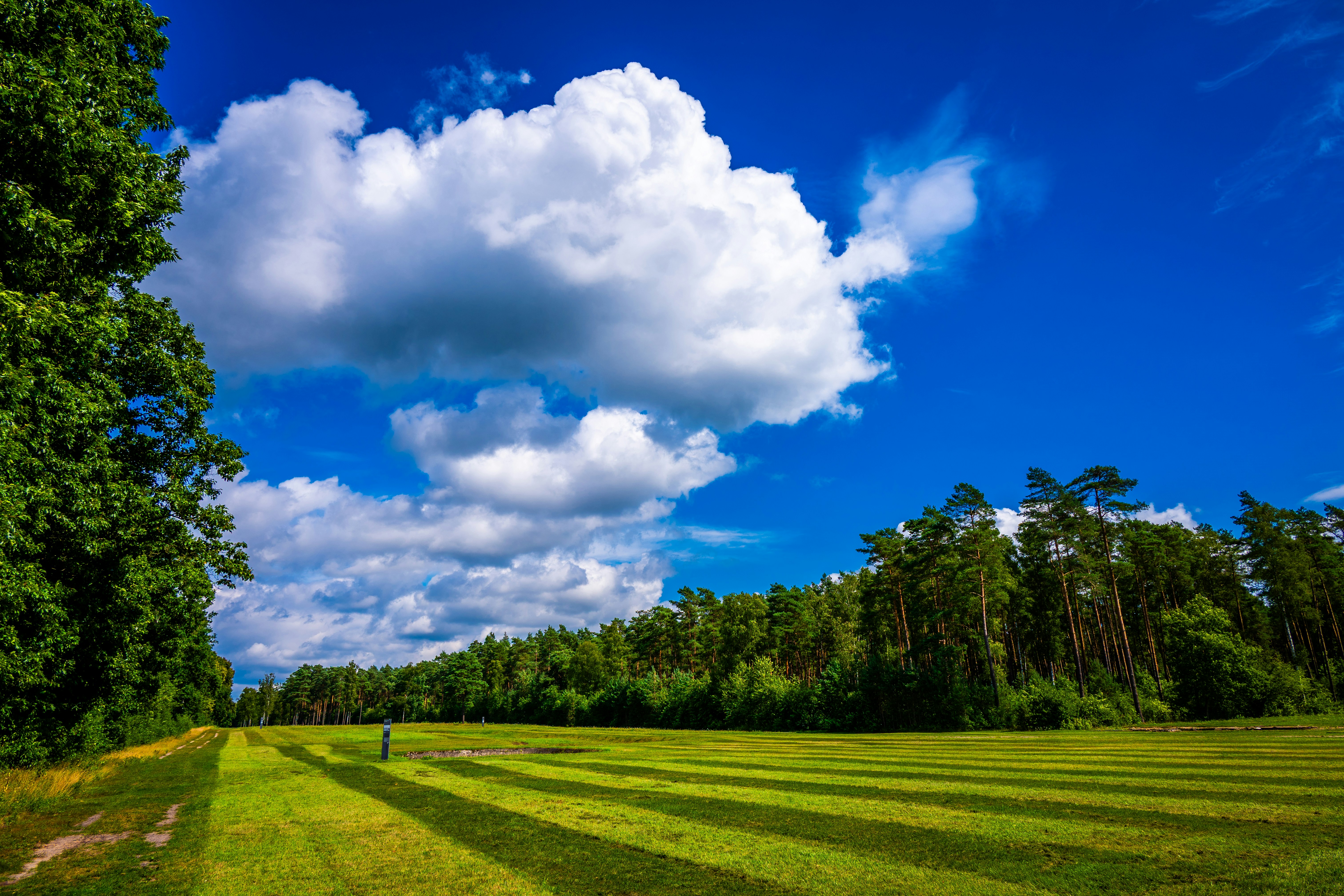 Photo by justmejuliee