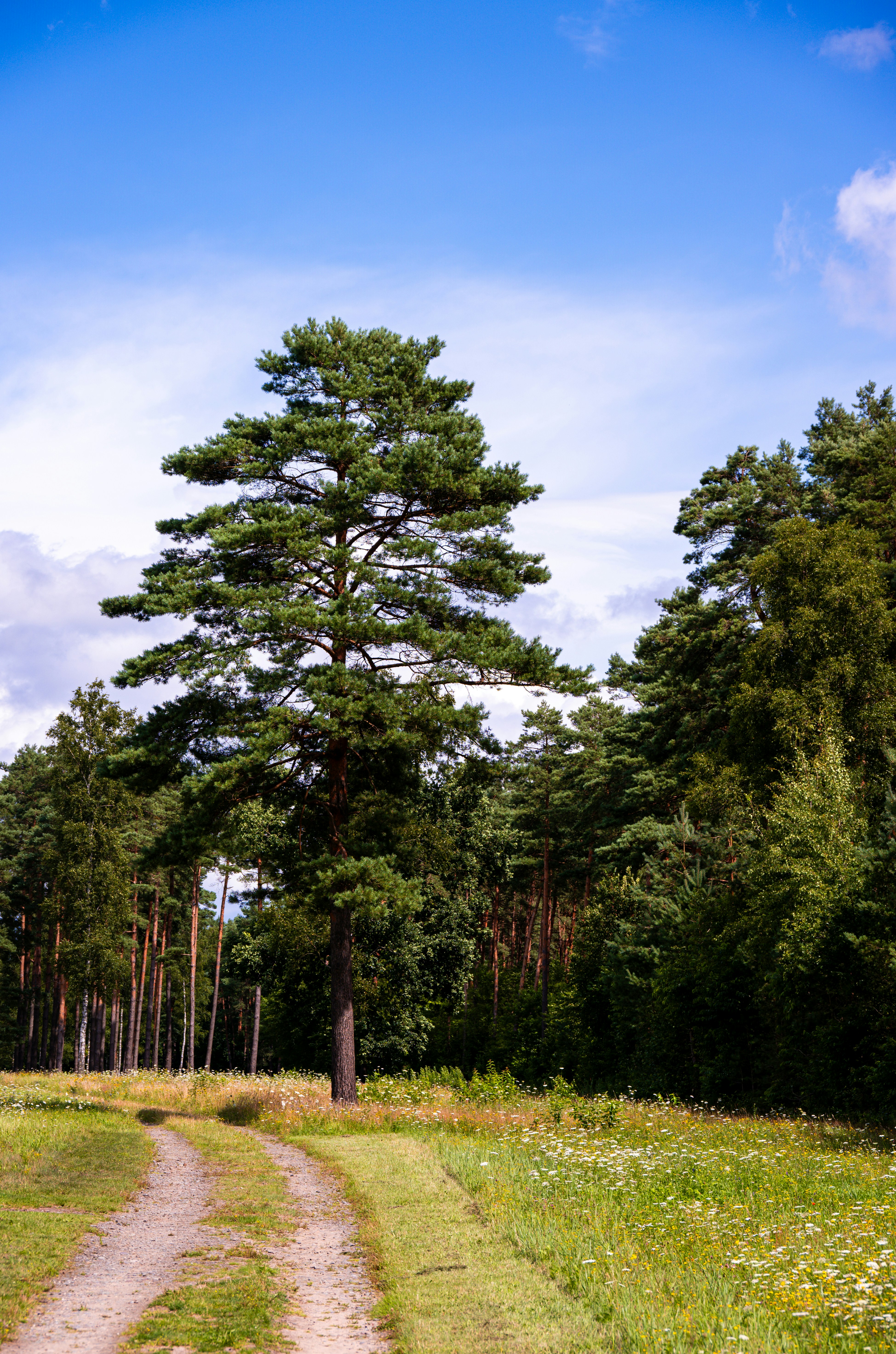 Photo by justmejuliee