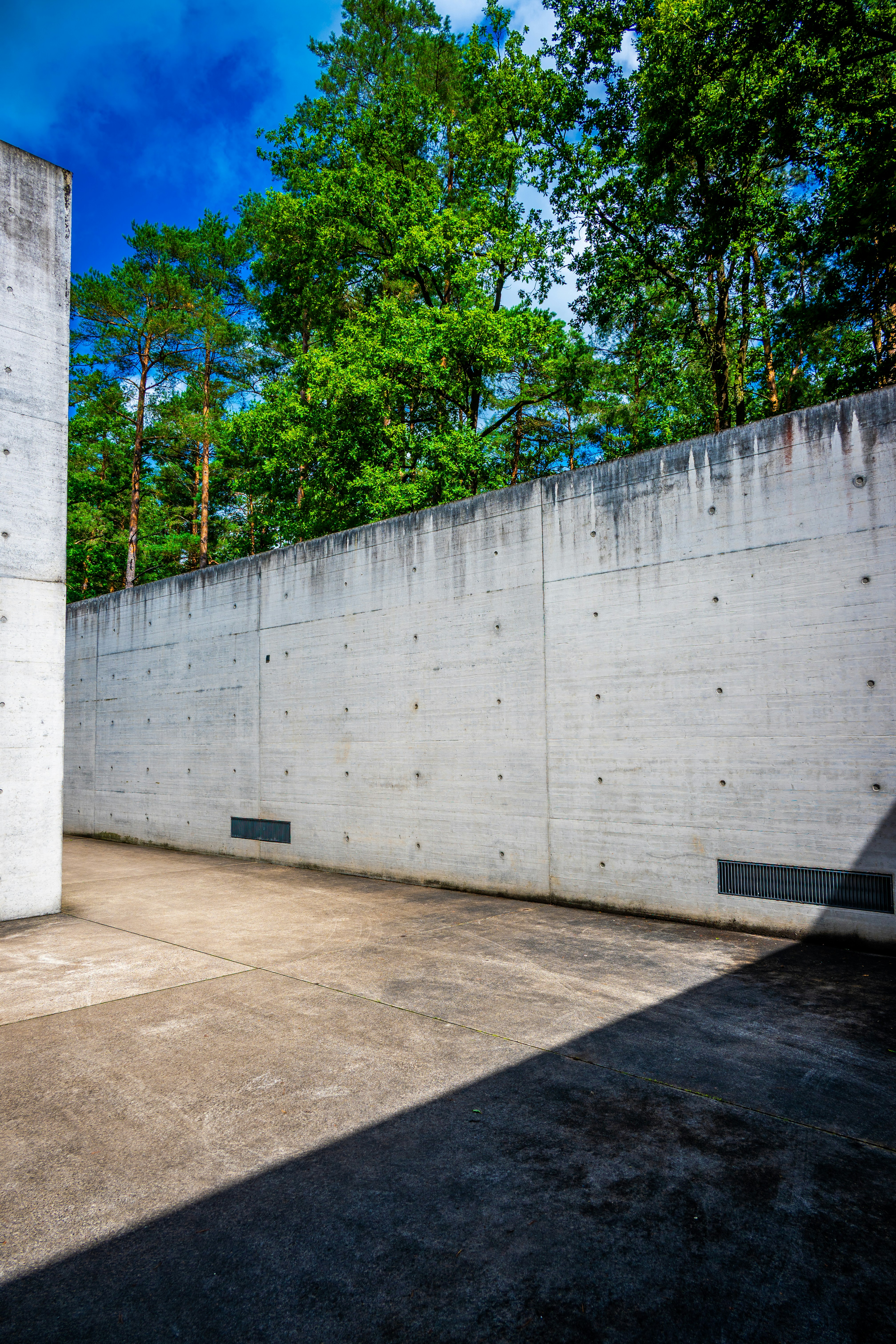 Photo by justmejuliee