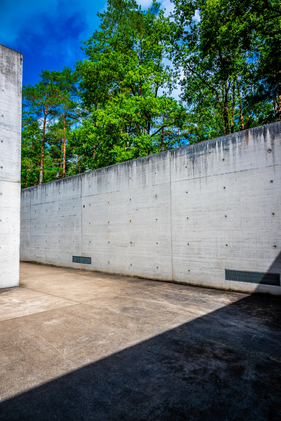 The image shows a concrete wall with numerous holes and cracks, standing tall against a backdrop of lush green trees. The perspective is from below, looking up at the wall, which adds to its imposing presence. The sky above is clear blue, providing a beautiful contrast to the concrete structure.