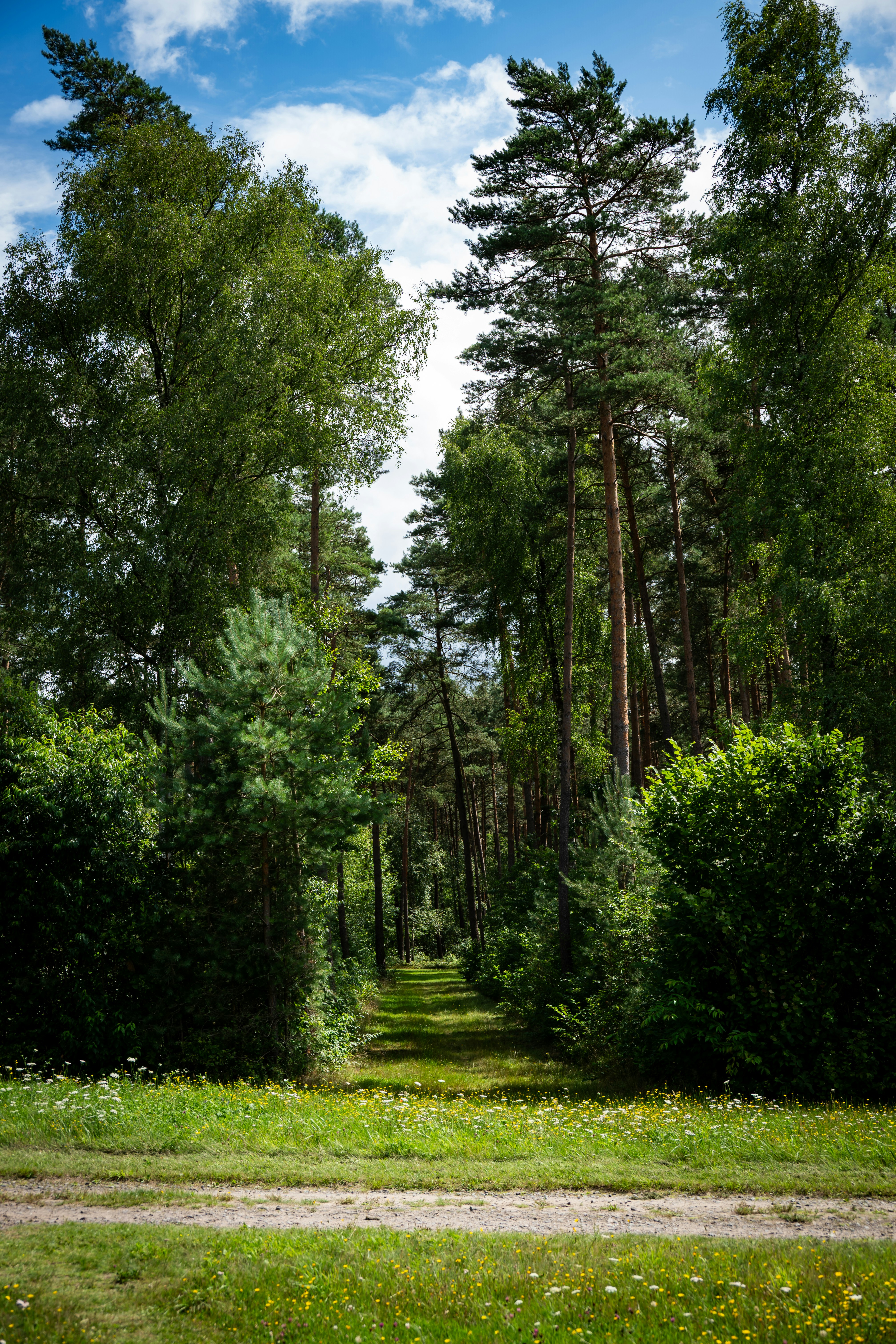 Photo by justmejuliee