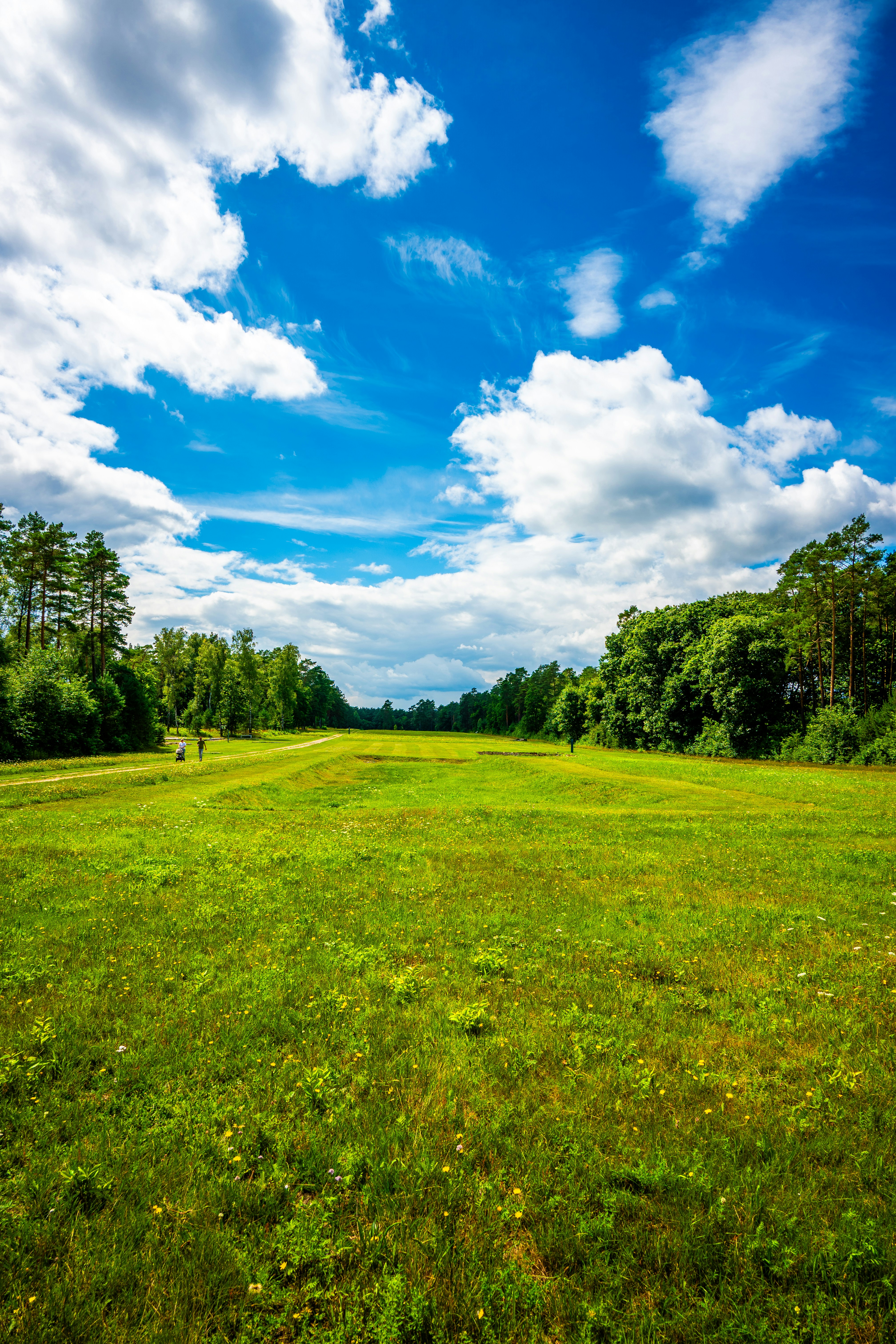 Photo by justmejuliee