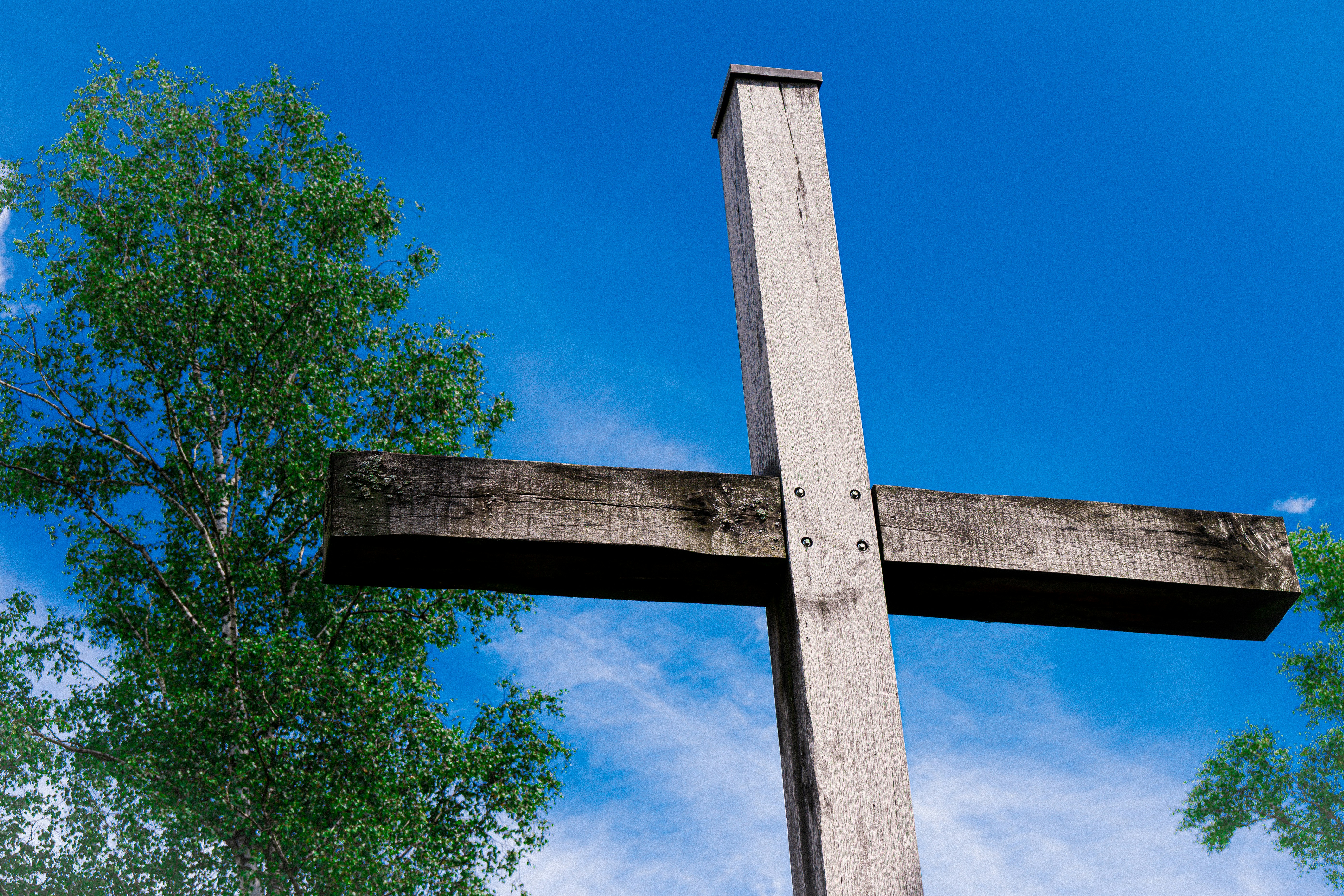 Photo by justmejuliee