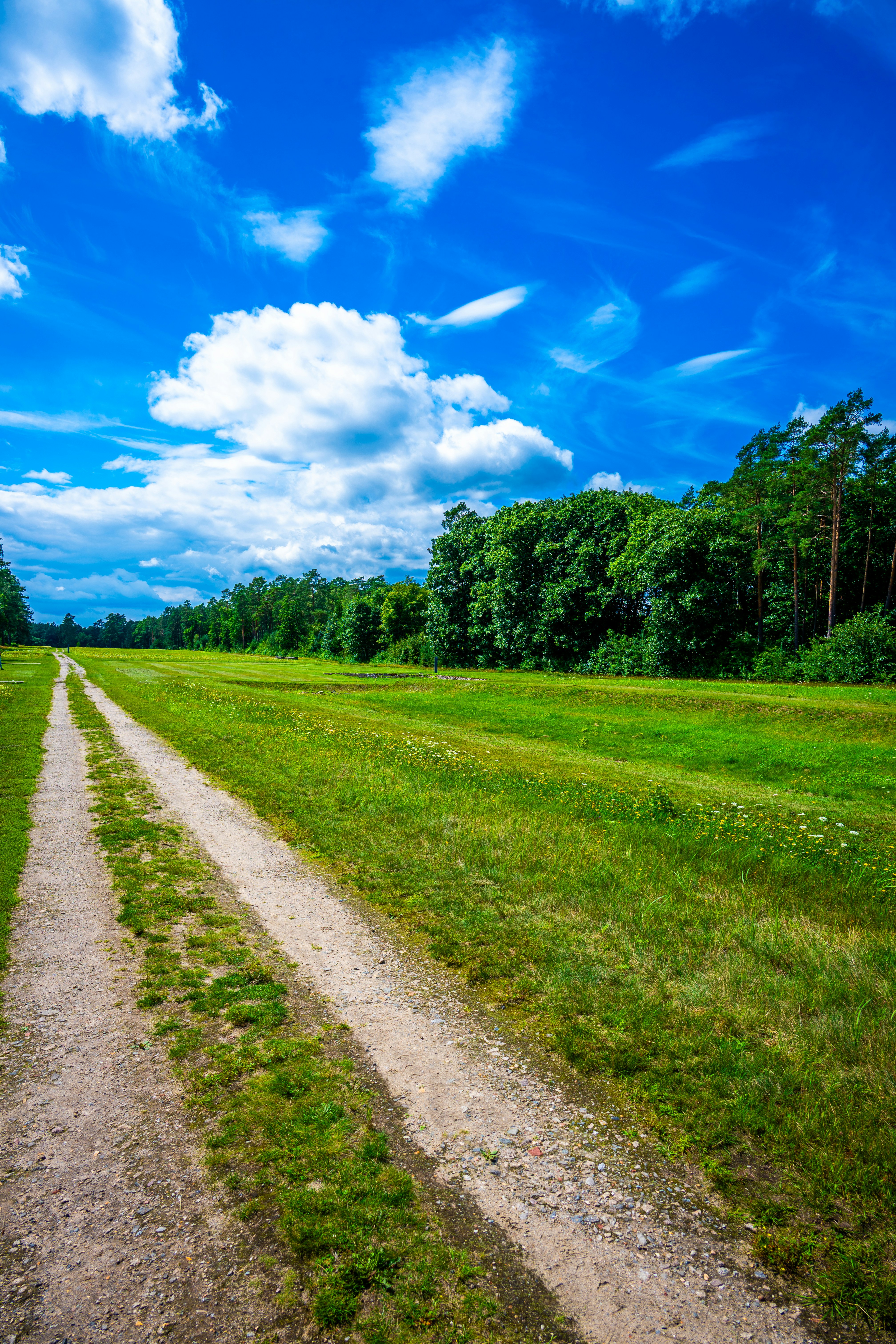 Photo by justmejuliee