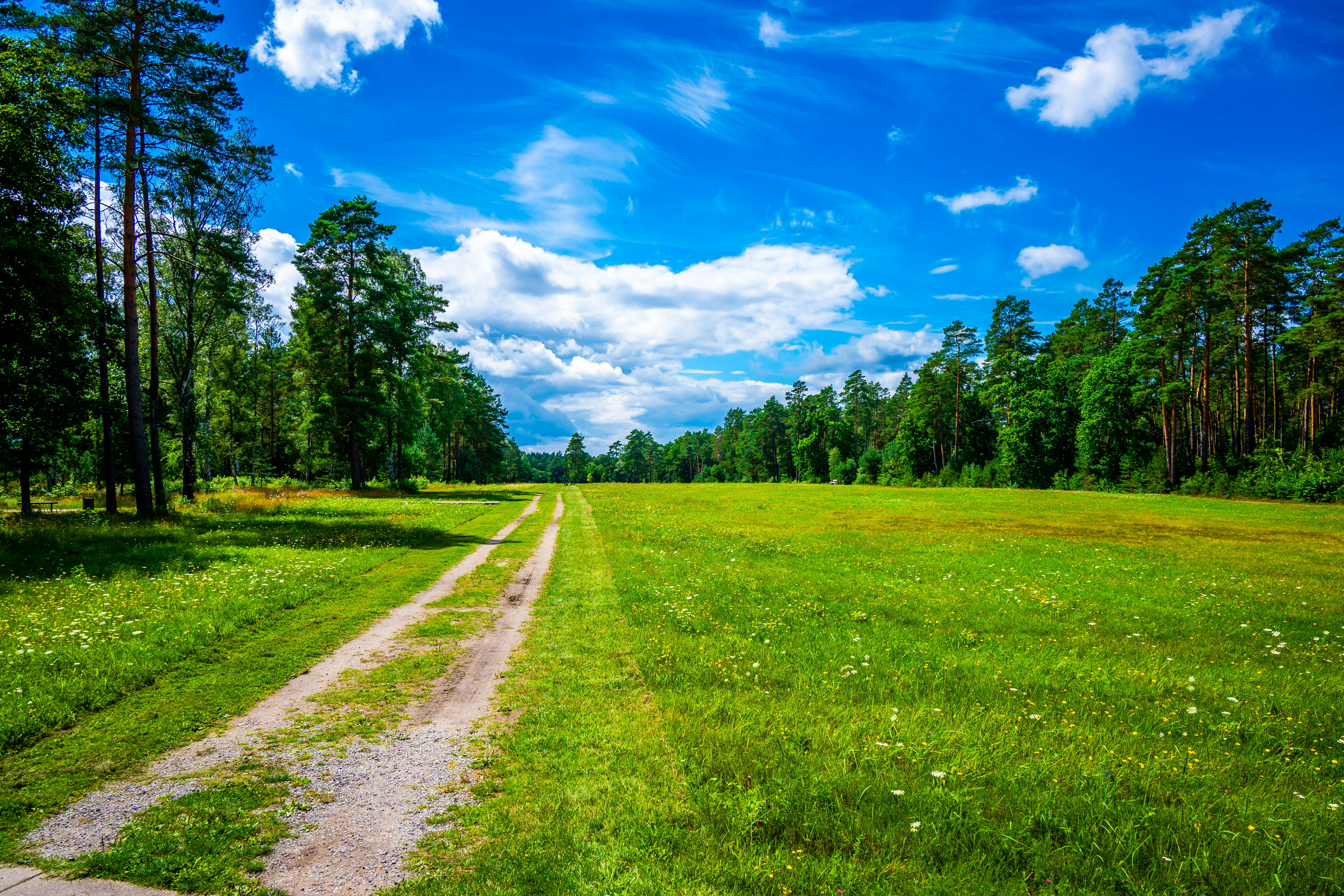 Mackay Wildlife Preserve
