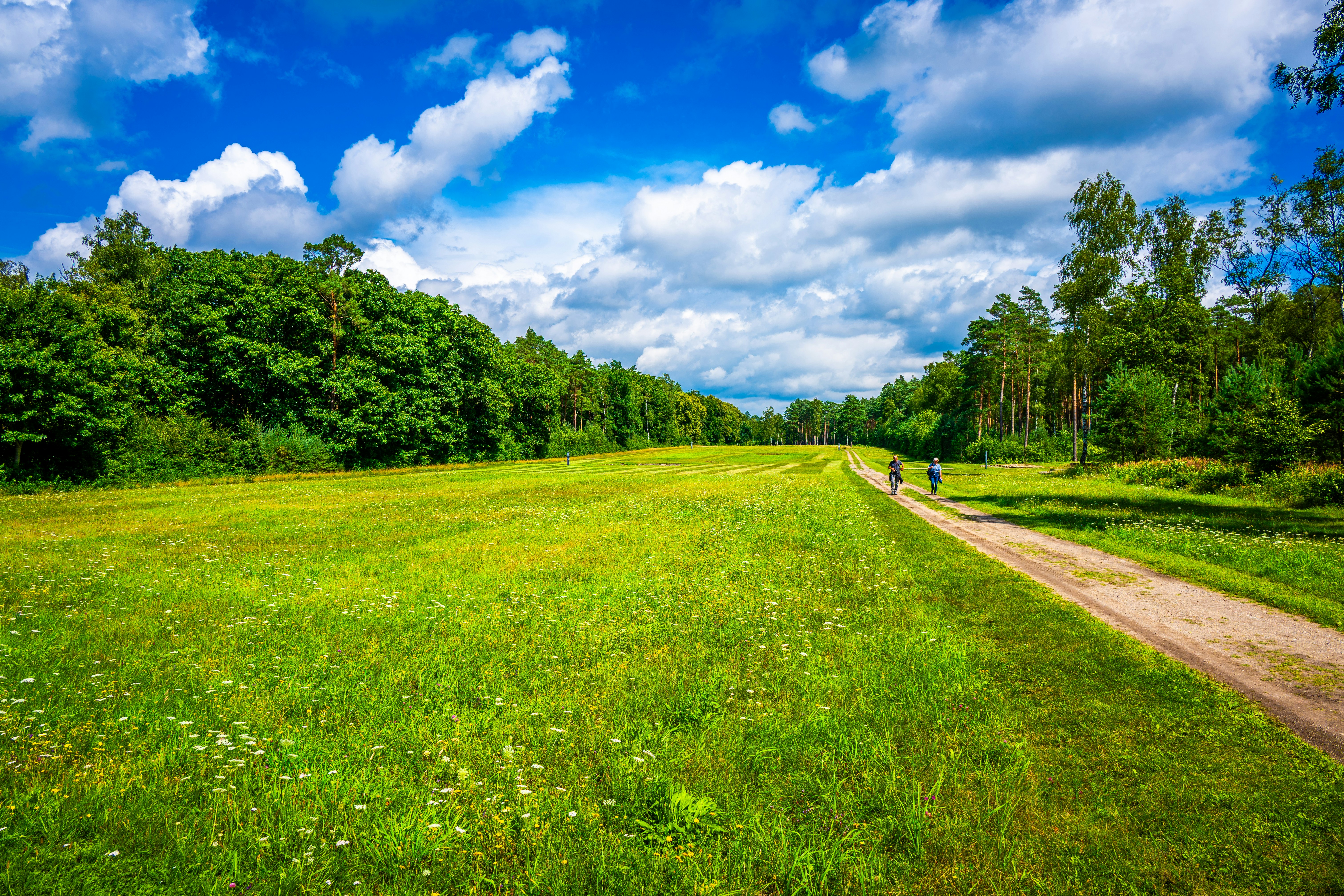 Photo by justmejuliee