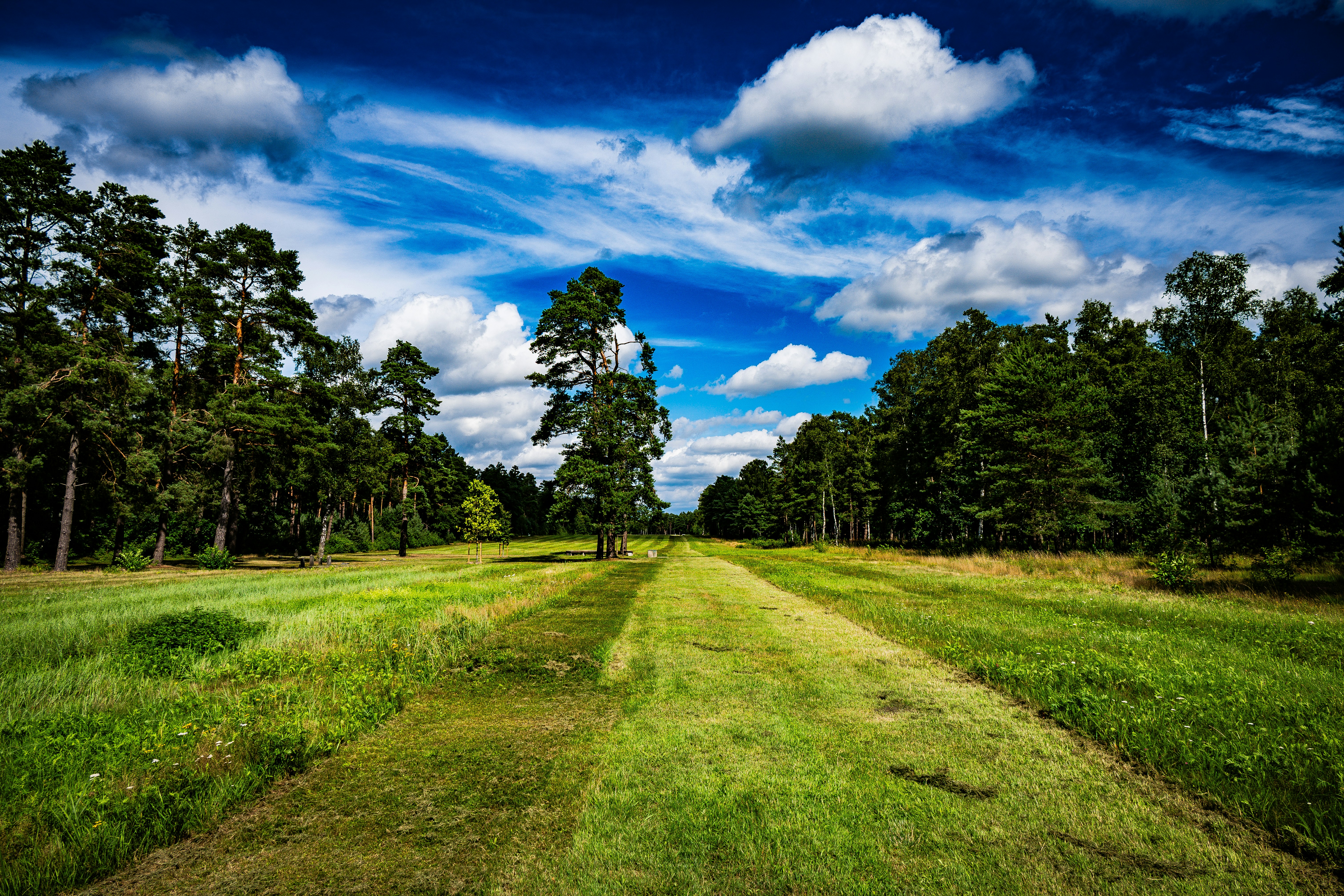 Regeringen avslöjar nya, tuffa straff – tryggheten återvänder!