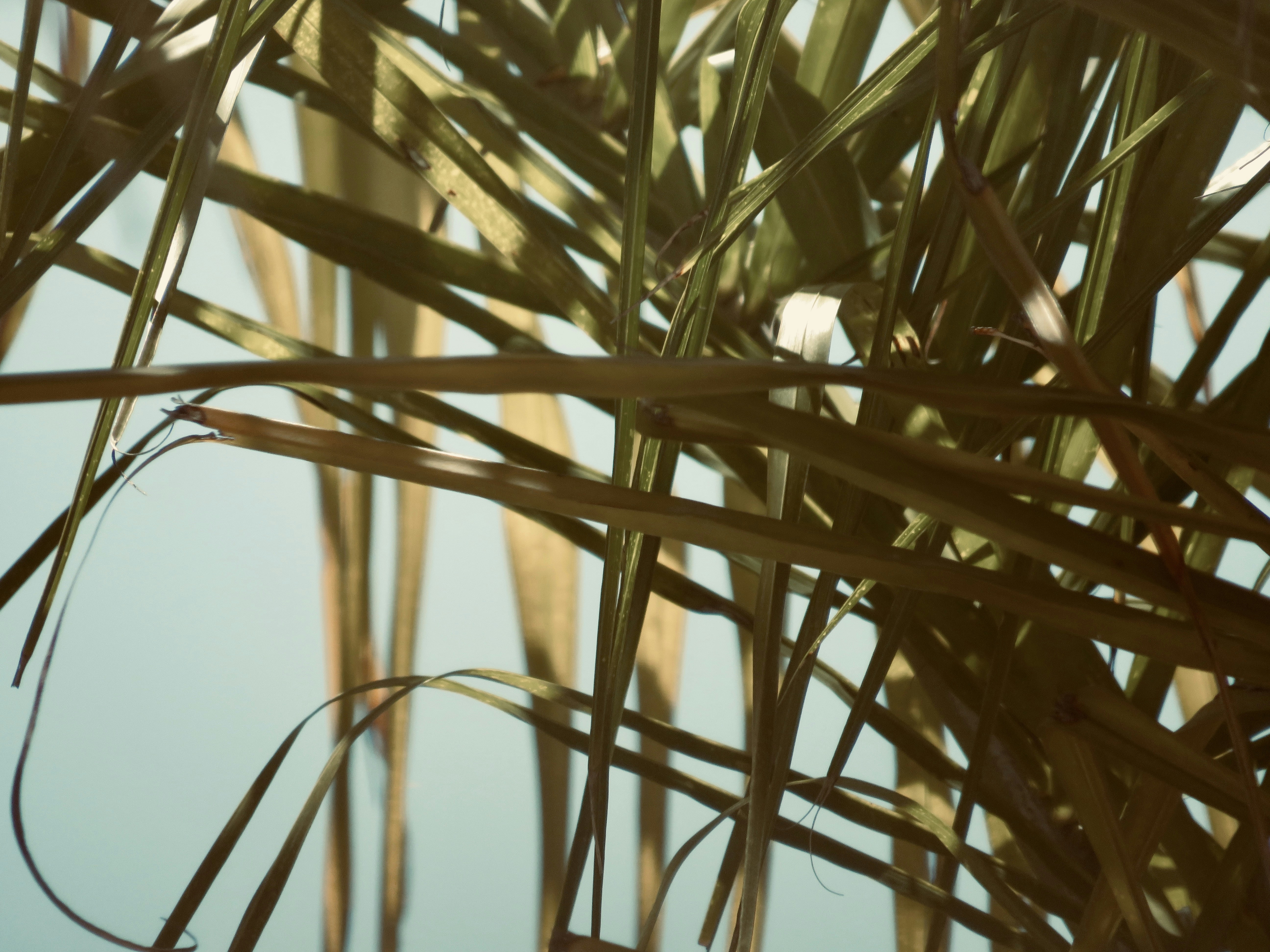 Photo by cretivecrate