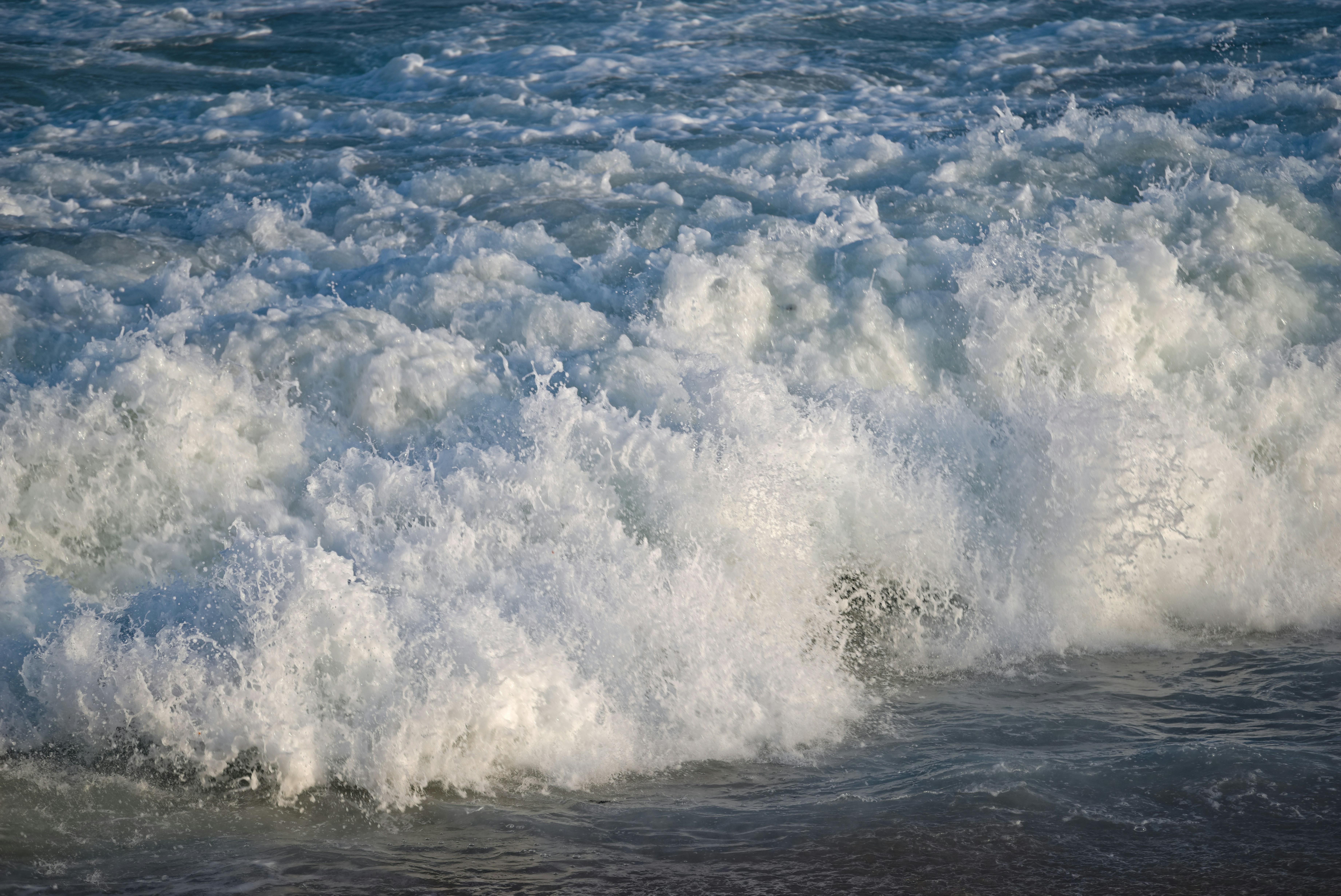 Photo by satishdharmavarapu