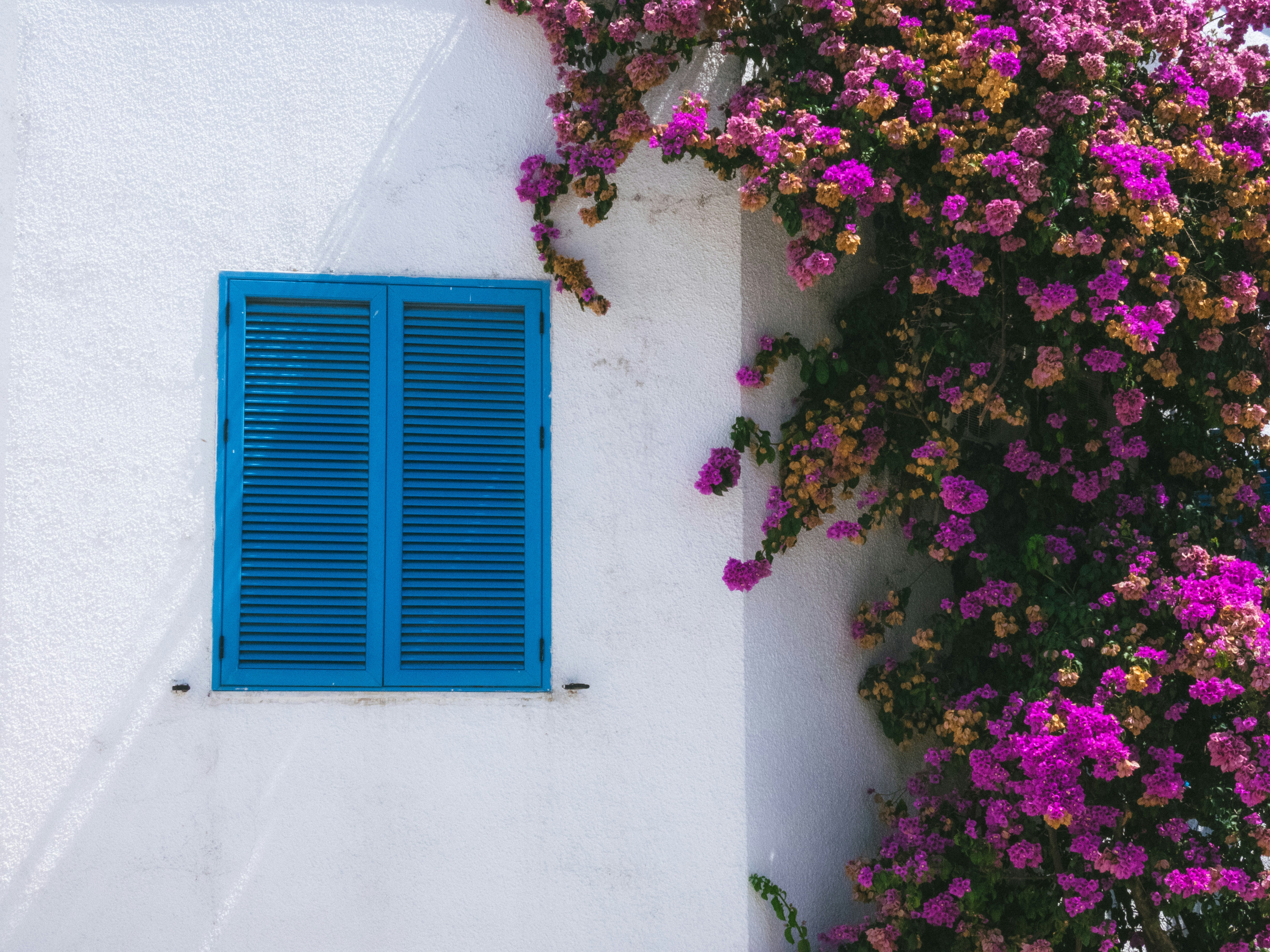 Photo by vvvvvvictoria