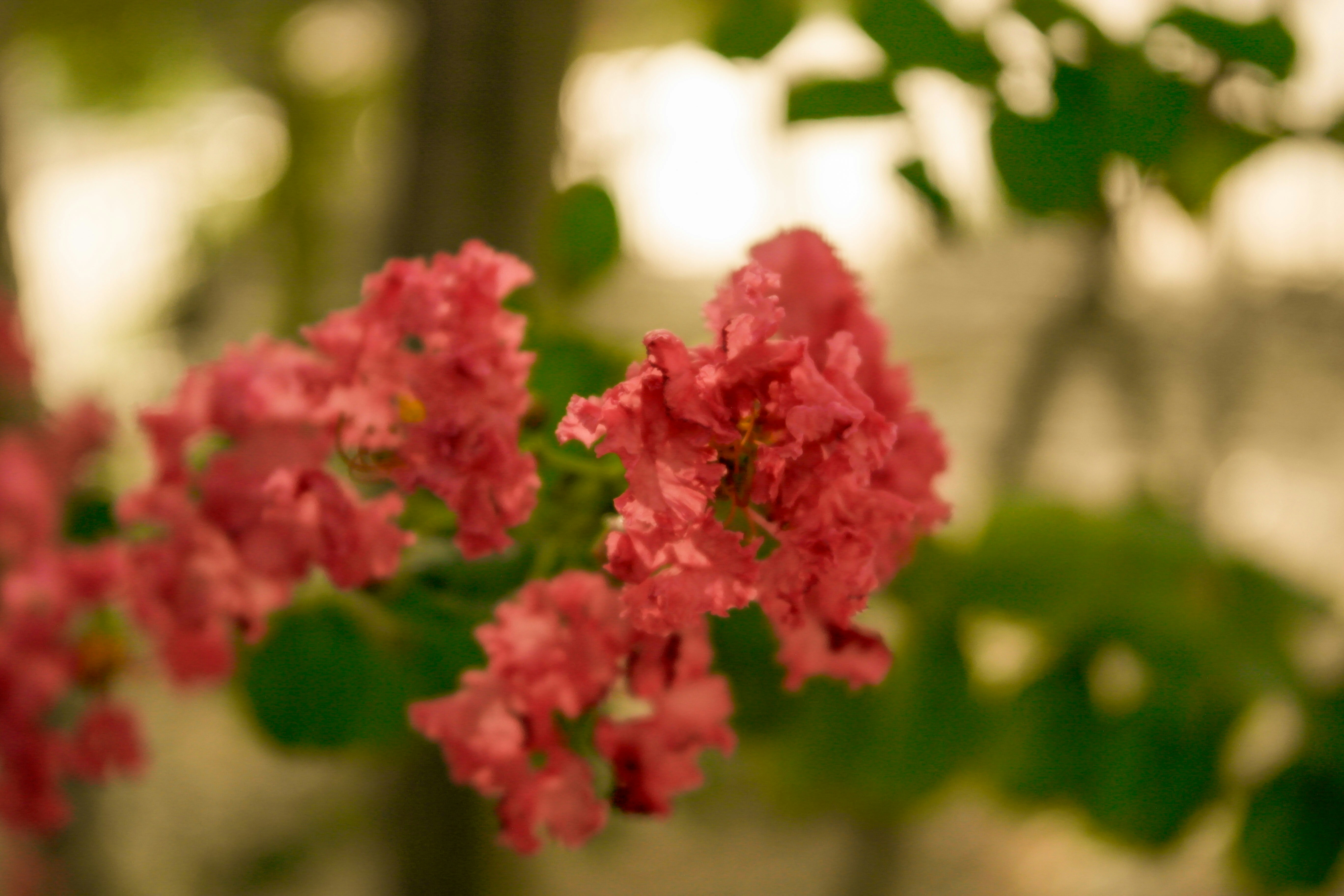 Photo by co