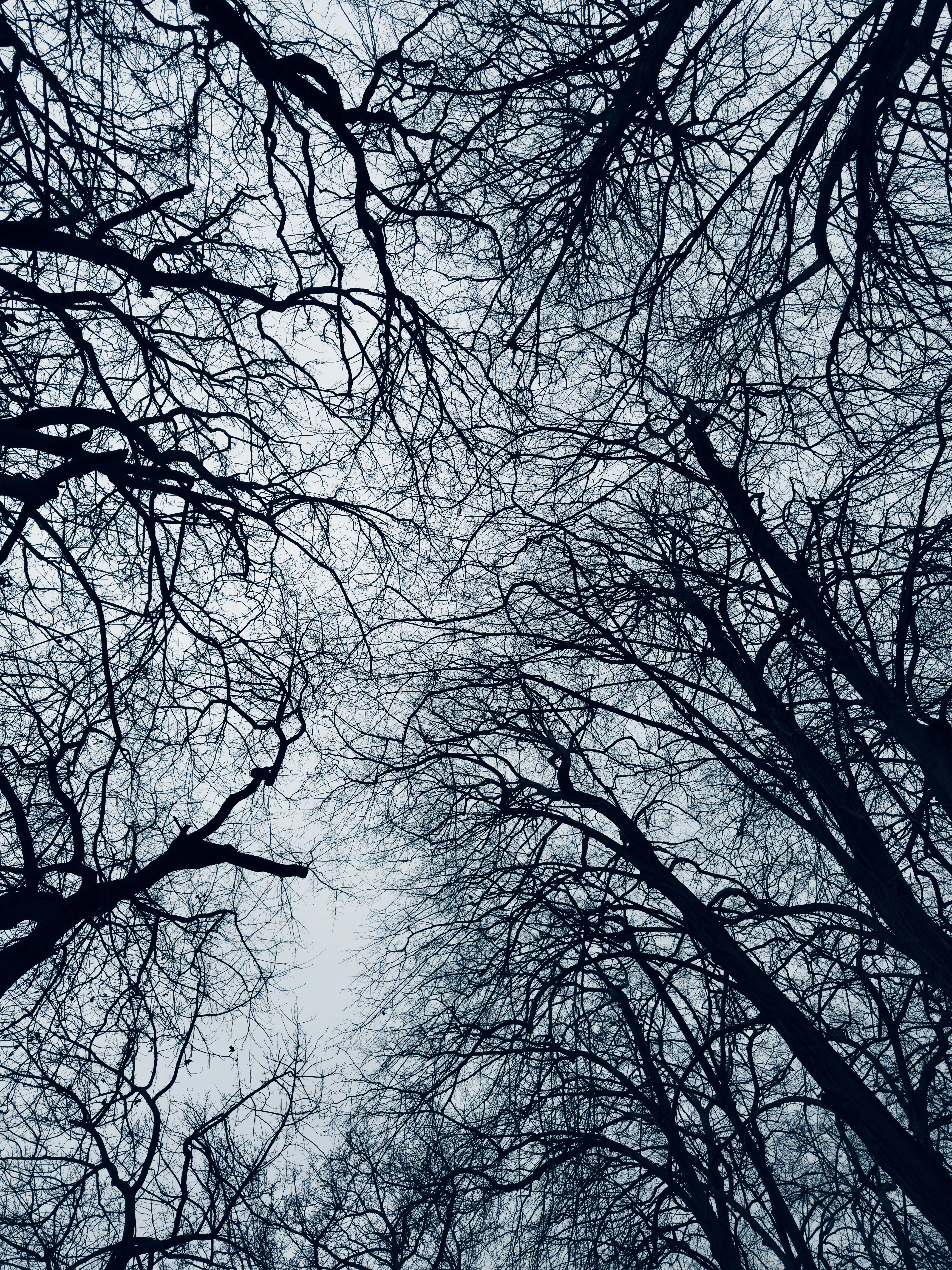 Photo by juliocesar90