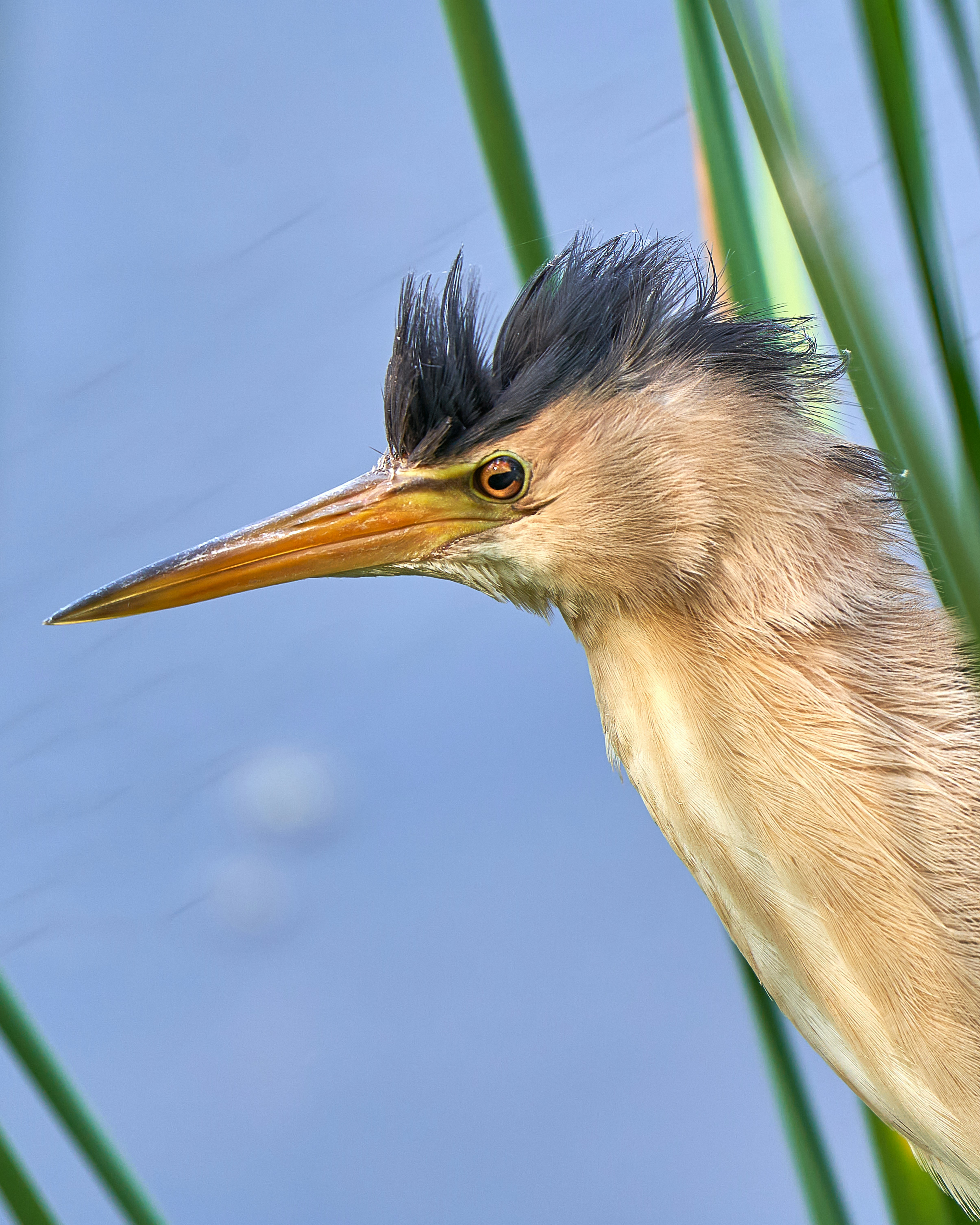 Photo by aperfavorit