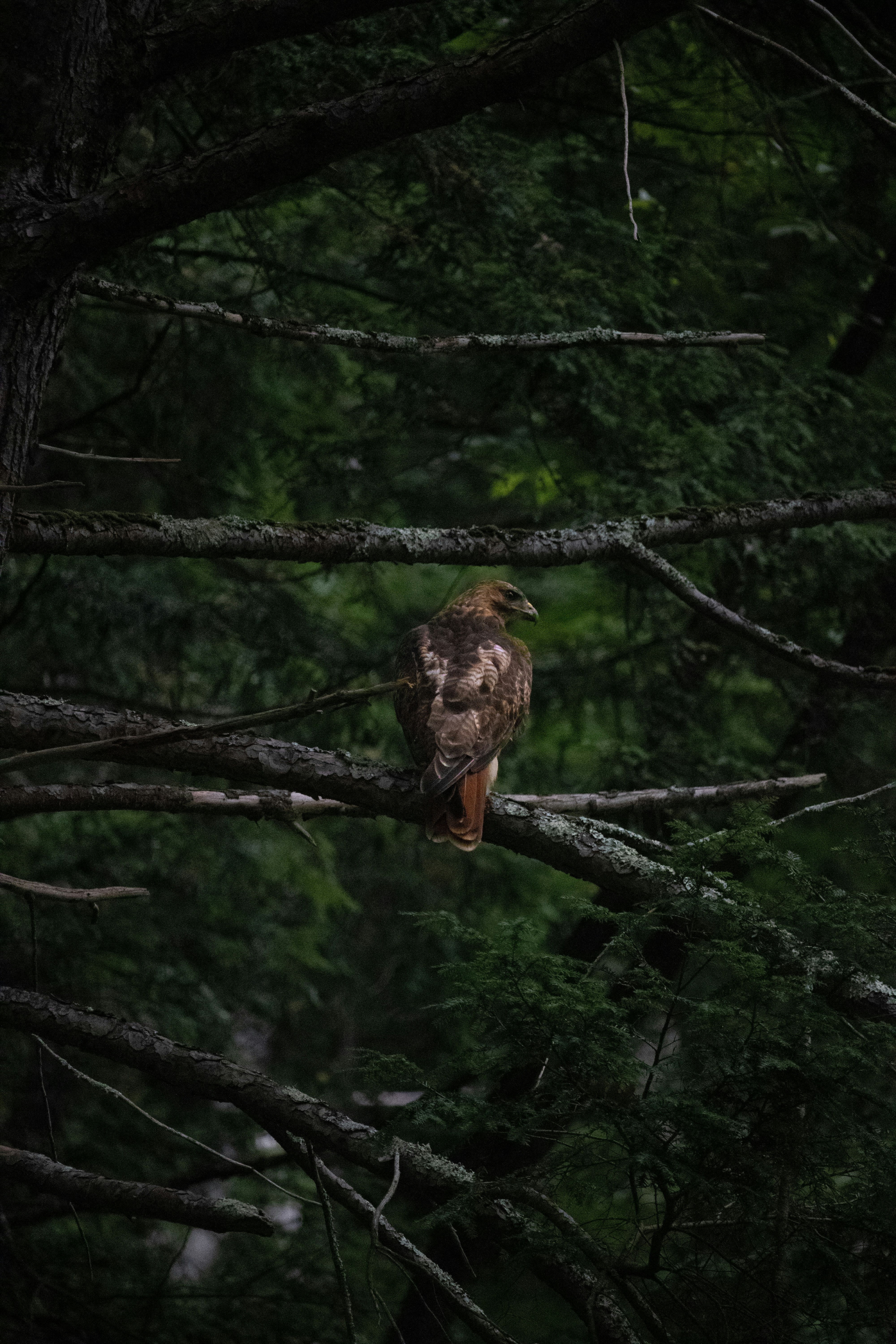 Photo by walrodmarcus