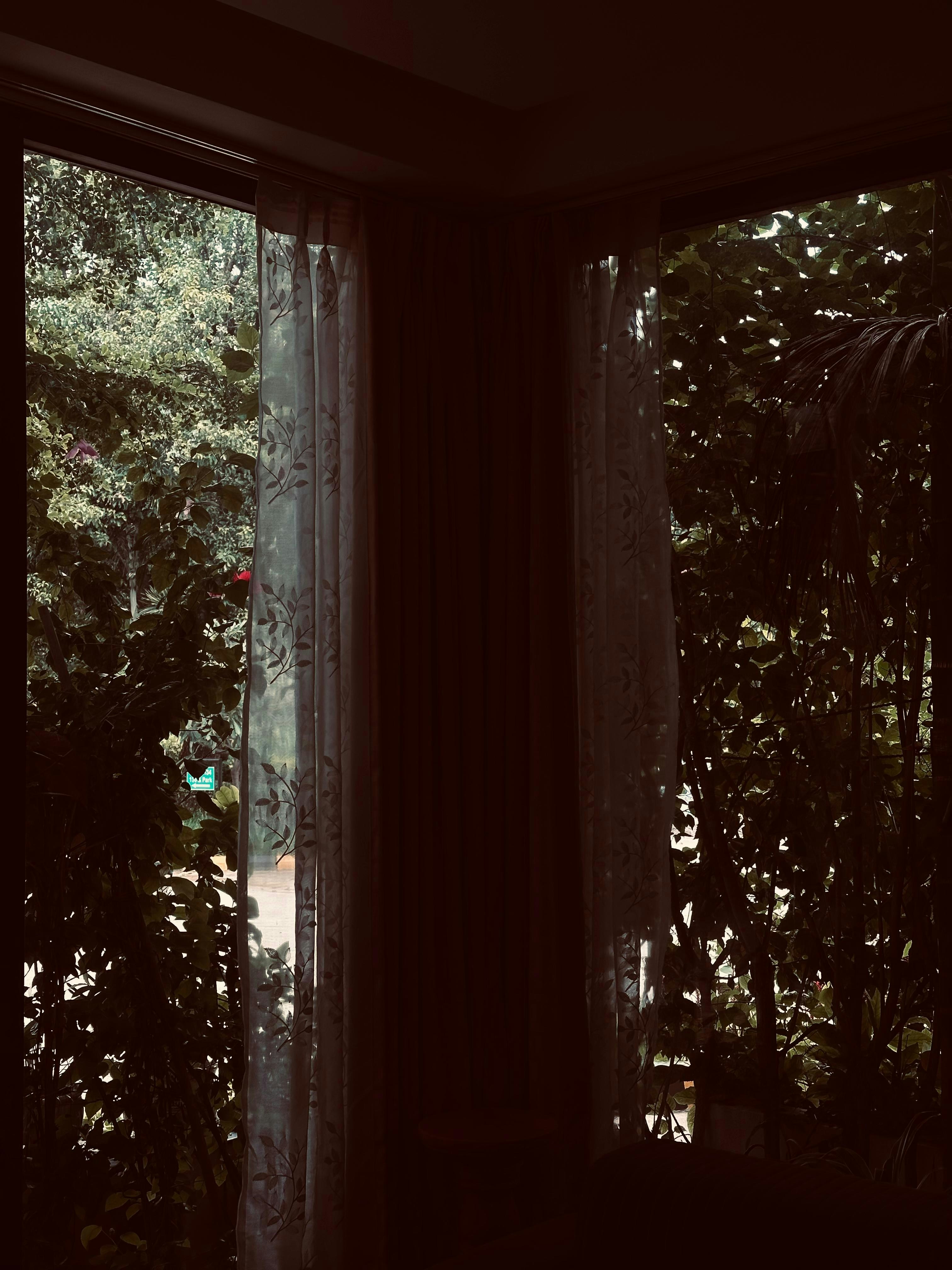 Photo by kuldeeprana980