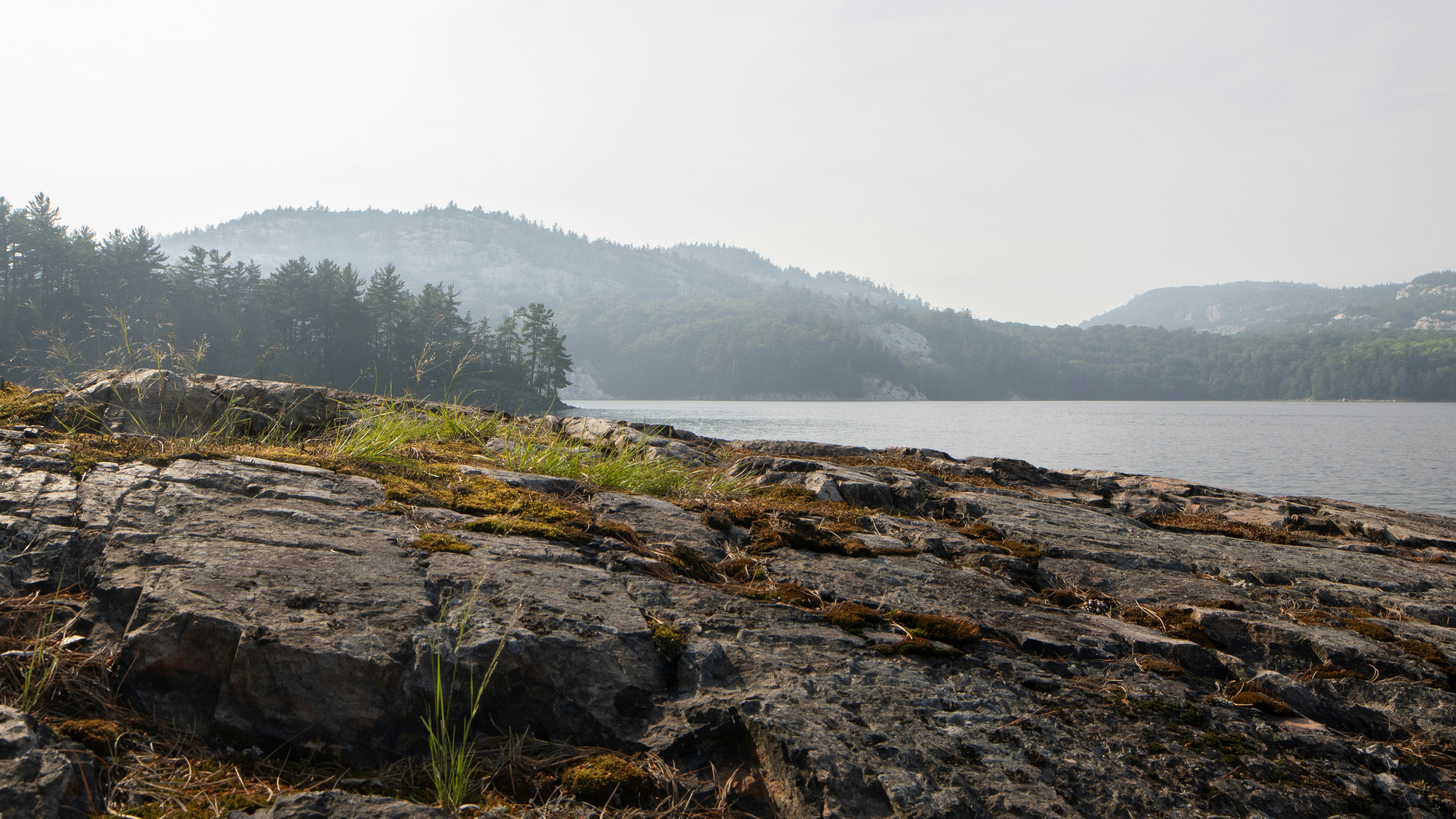 Photo by walrodmarcus