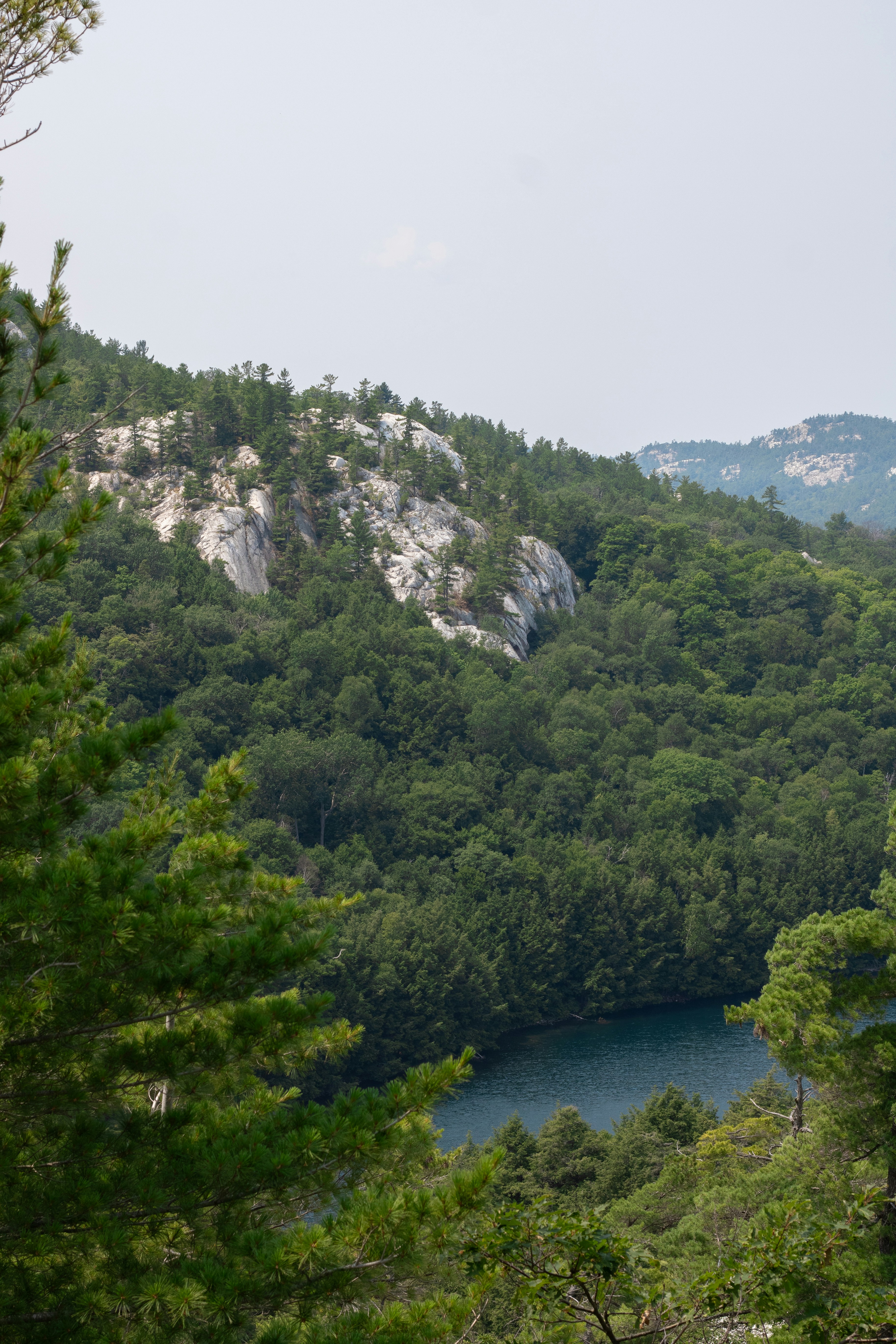 Photo by walrodmarcus