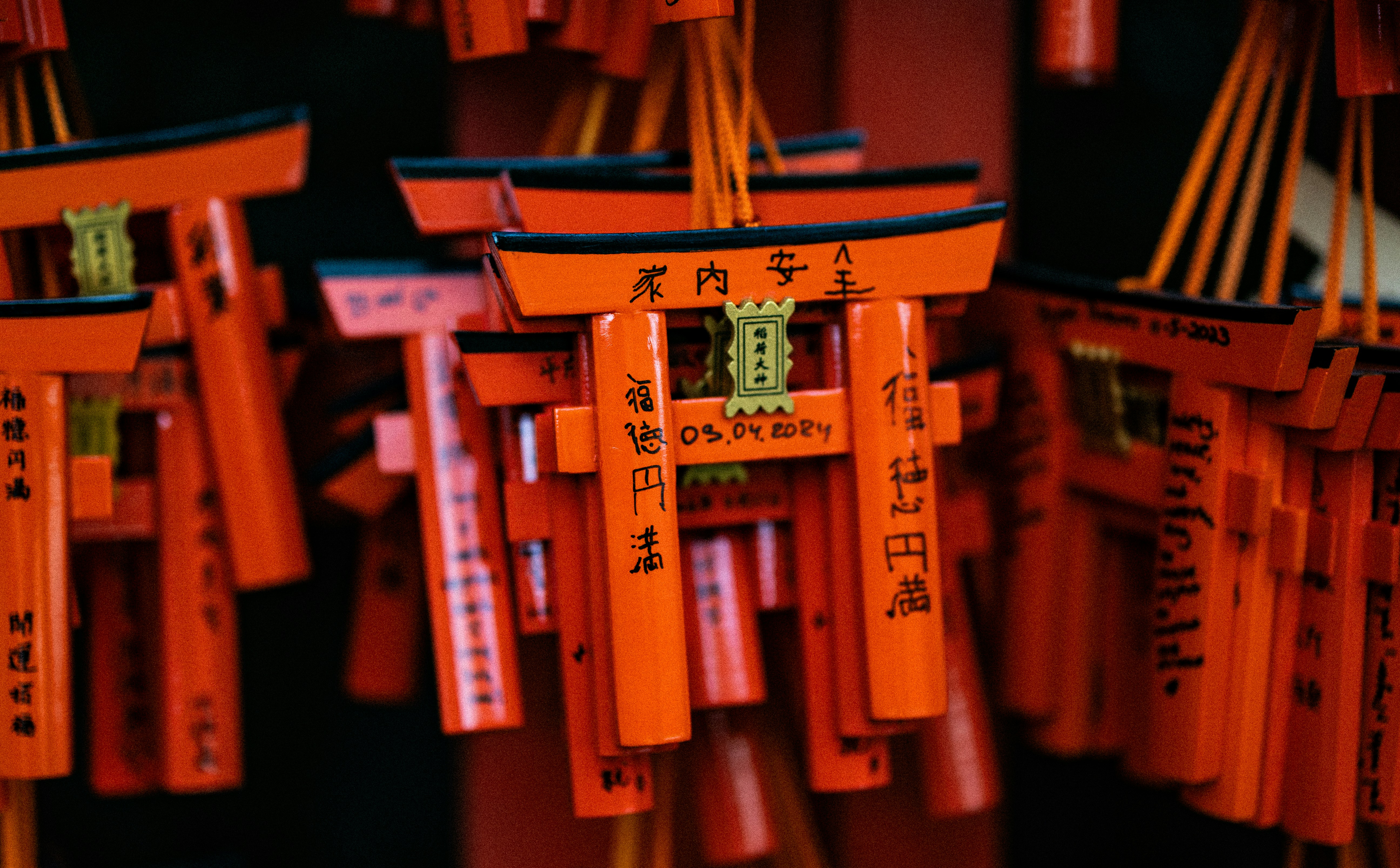 Close-up of official Japanese model kit packaging