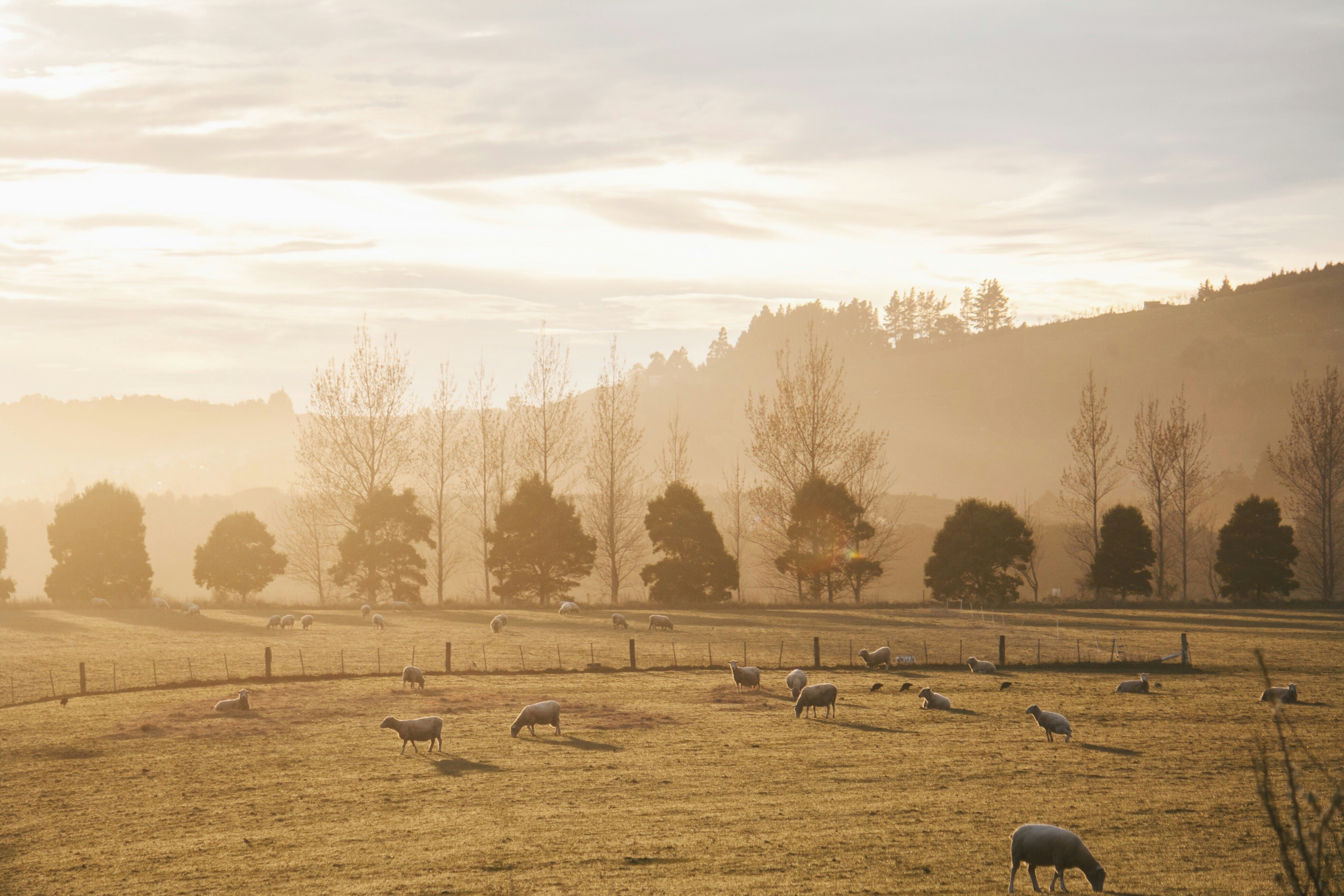 Photo by aaronkongsebastian