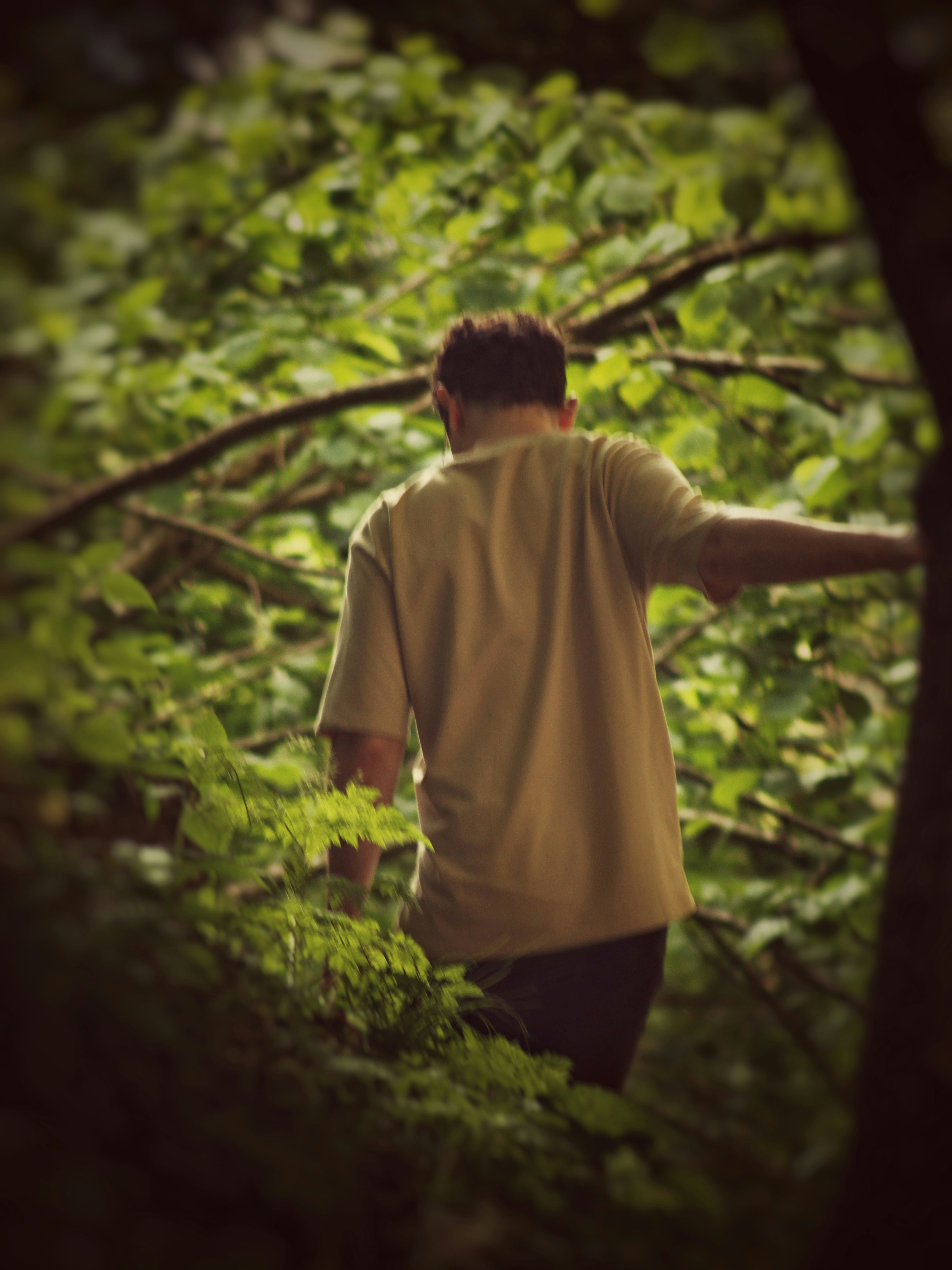 Man walking through lush green forest branches