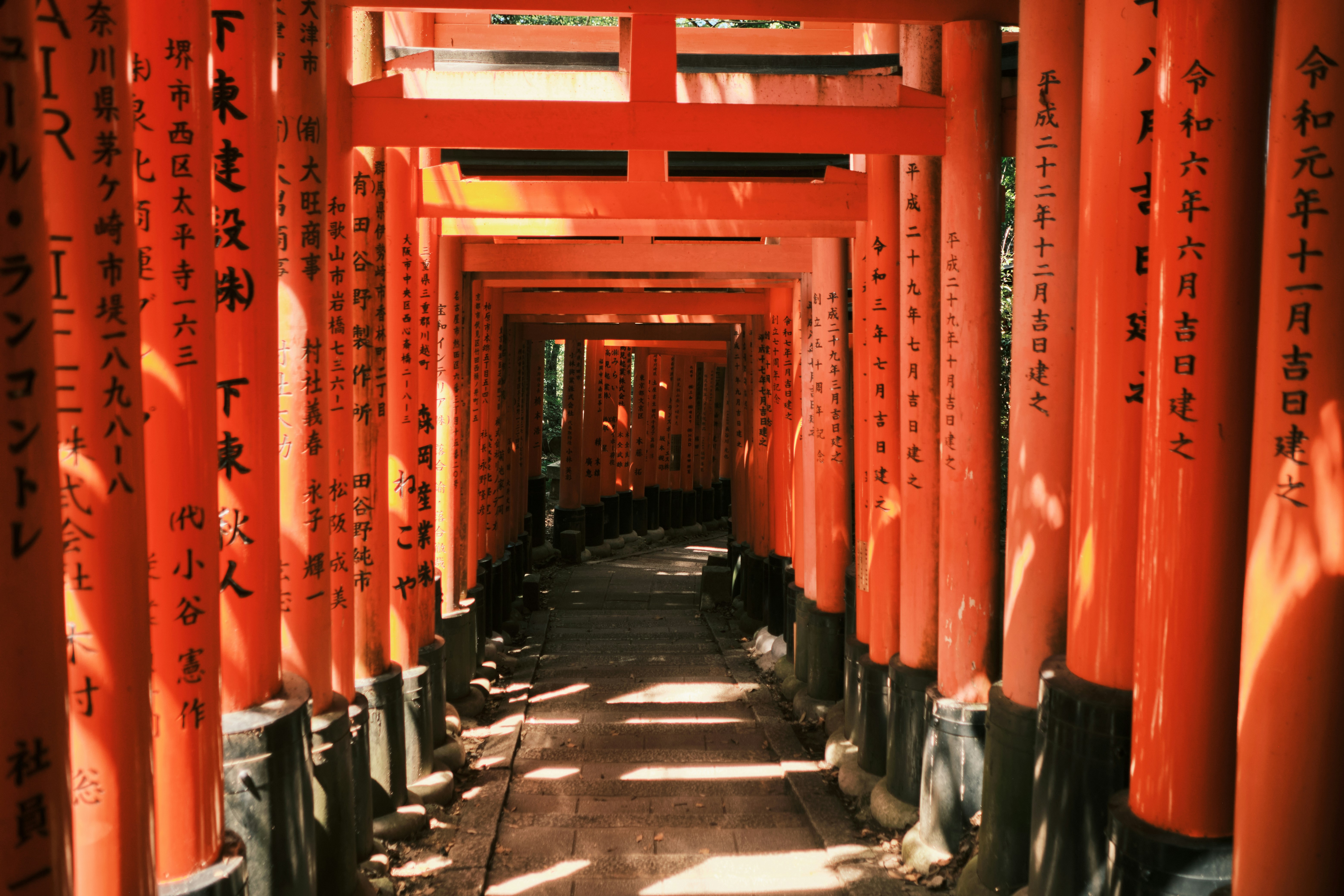 Photo by nathanphoto1030