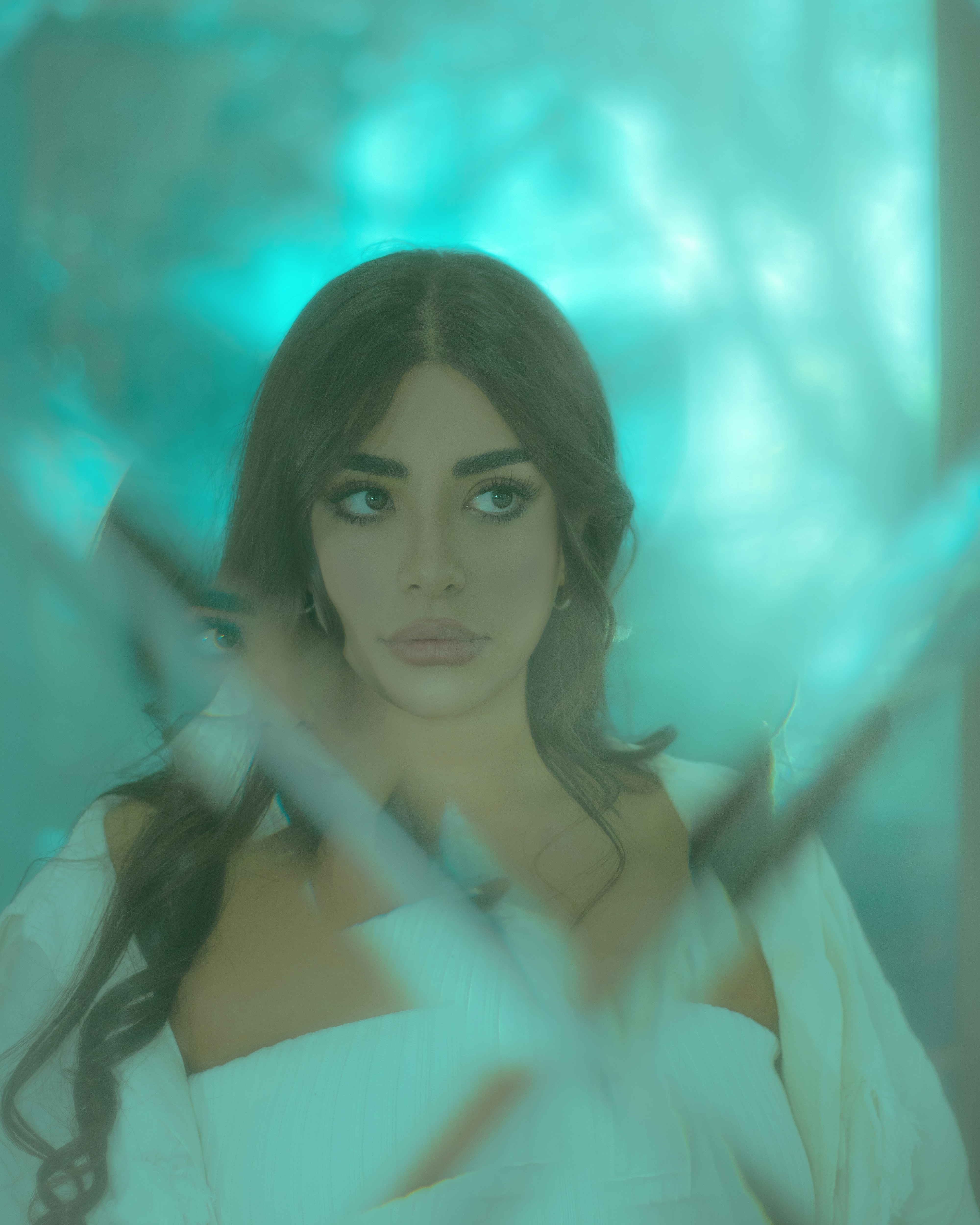 Photo by khashi_photo