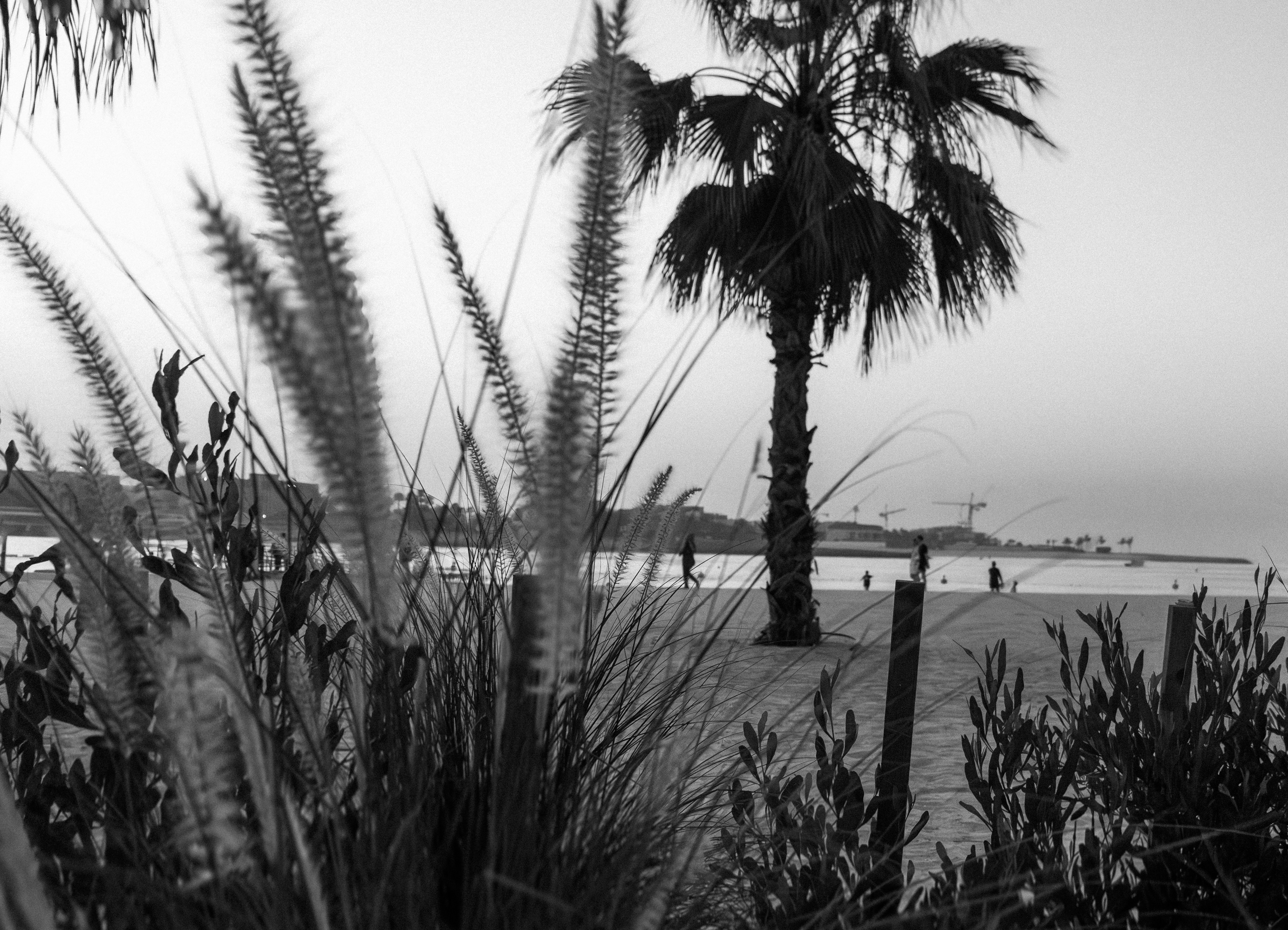 Photo by arinmelikyan