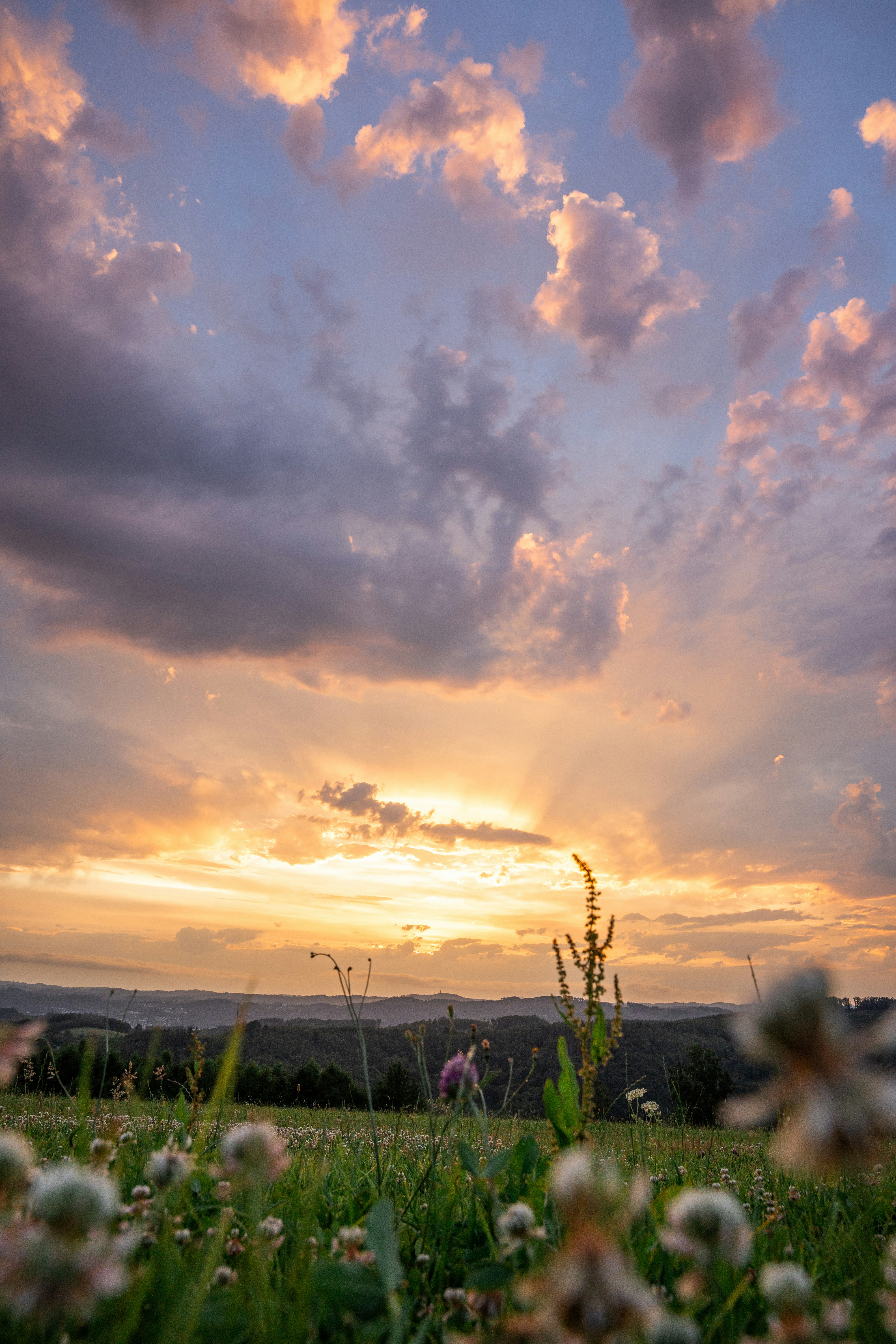 Photo by eliasderksen_photos