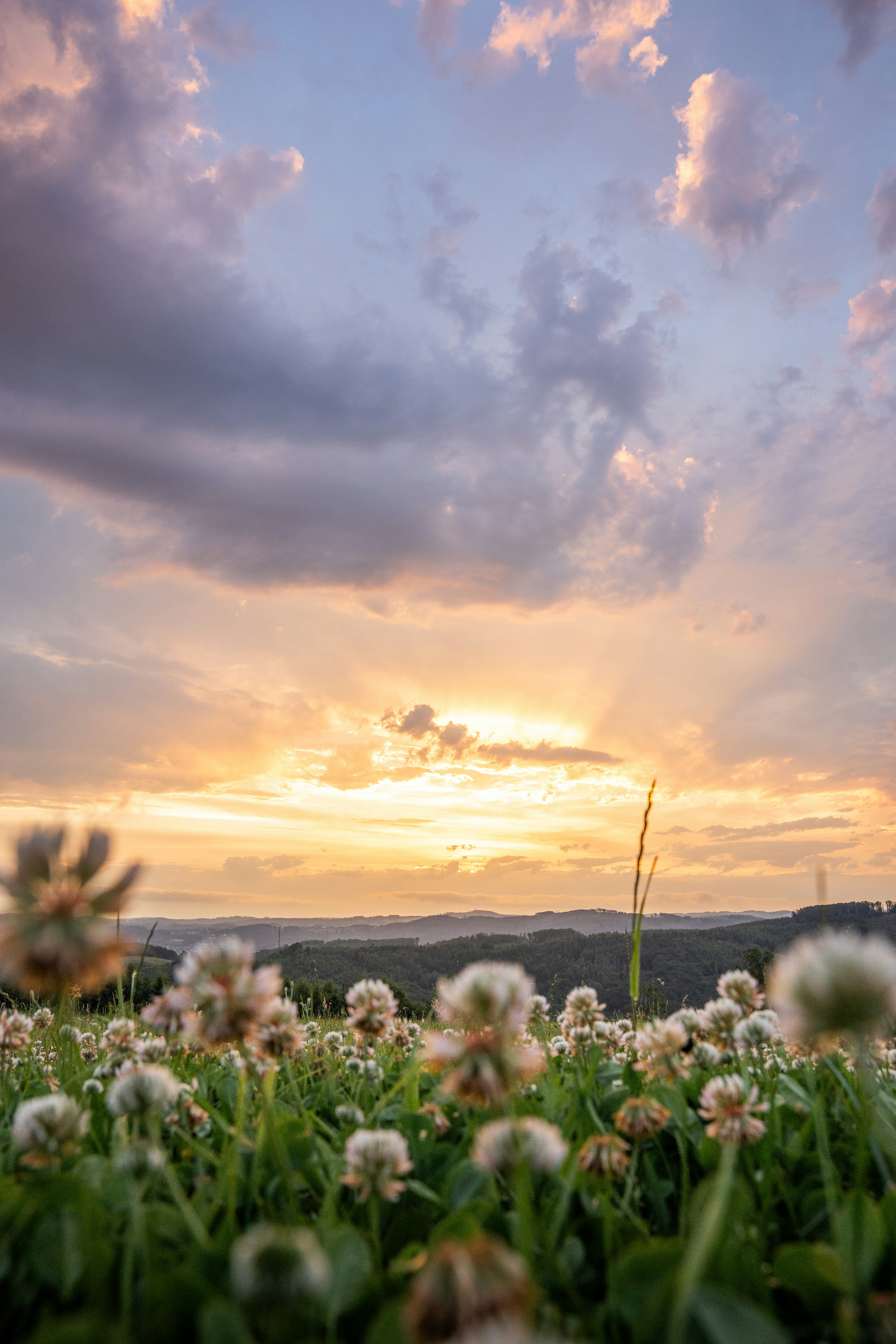 Photo by eliasderksen_photos