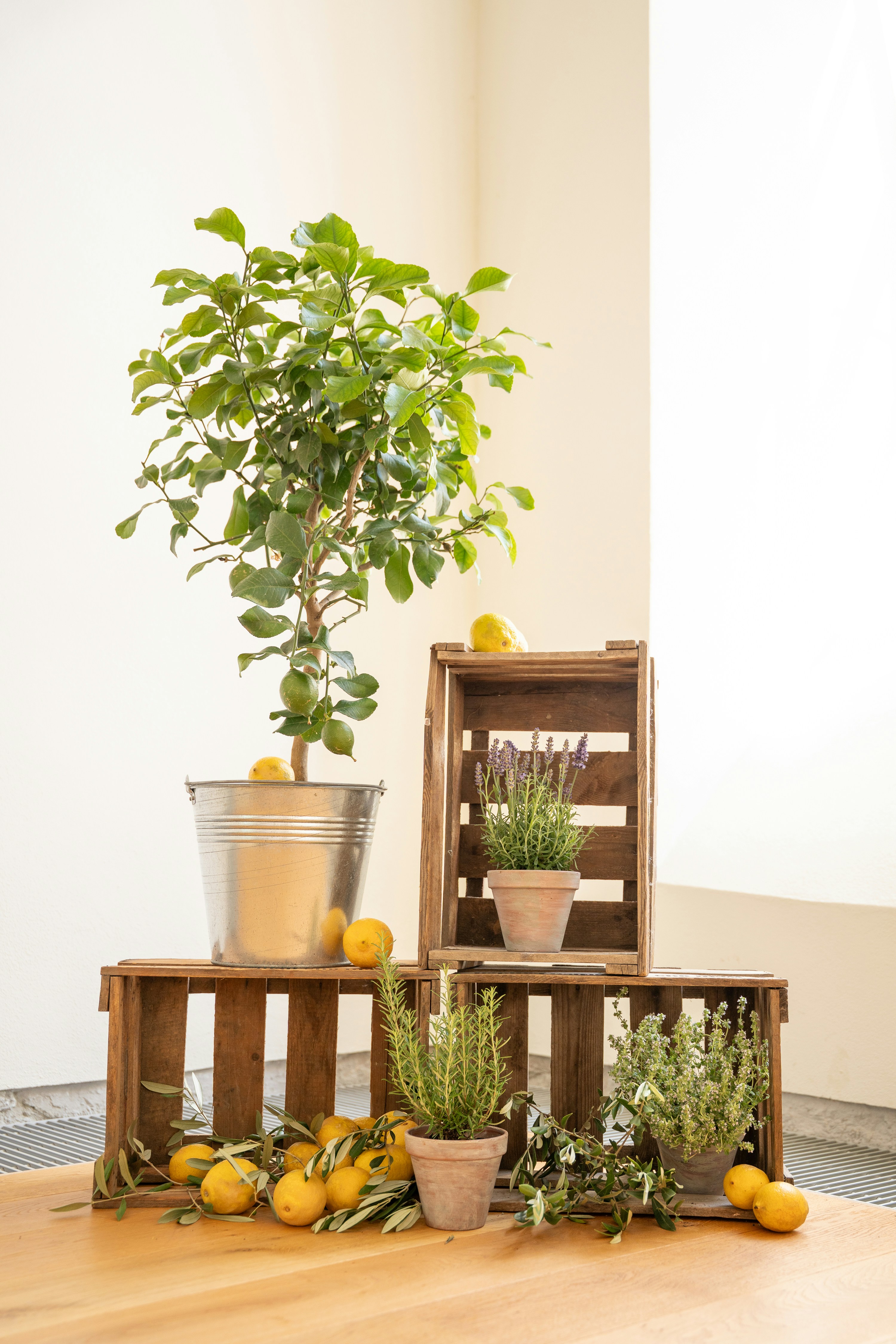 Photo by eliasderksen_photos