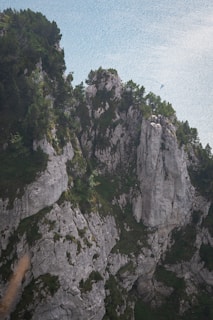 Jagged rocky mountains with scattered trees under sky