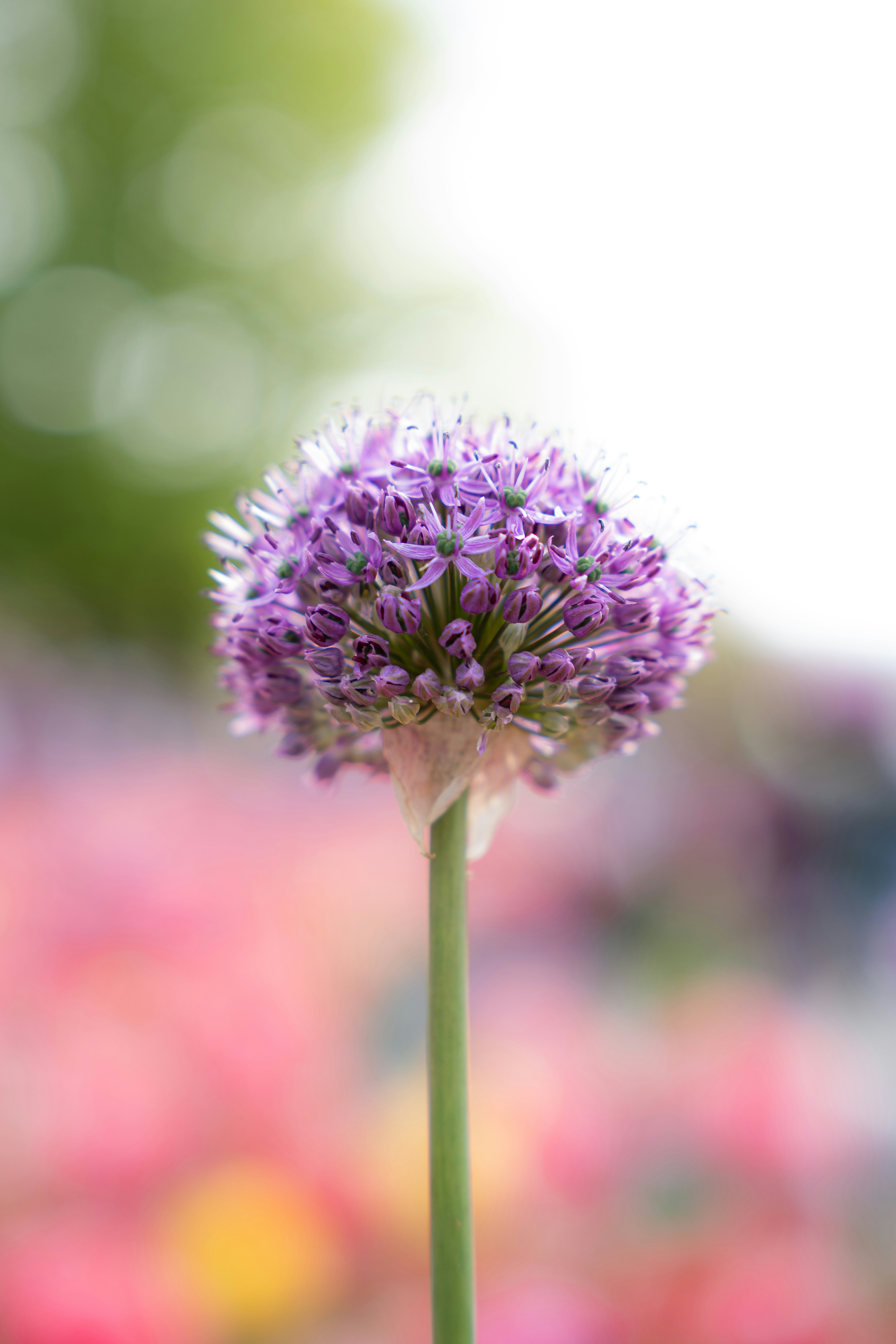 Photo by eliasderksen_photos