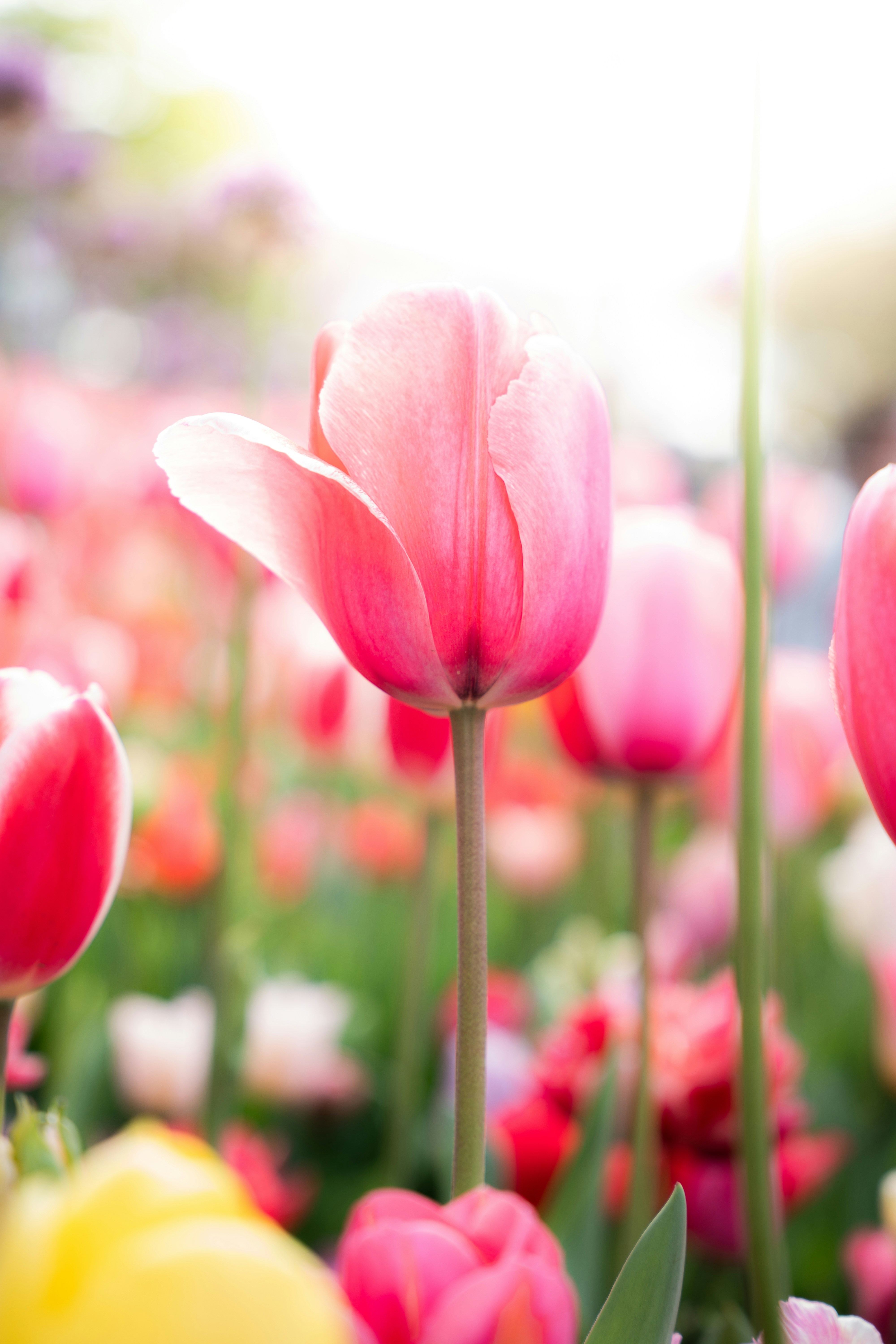 Photo by eliasderksen_photos