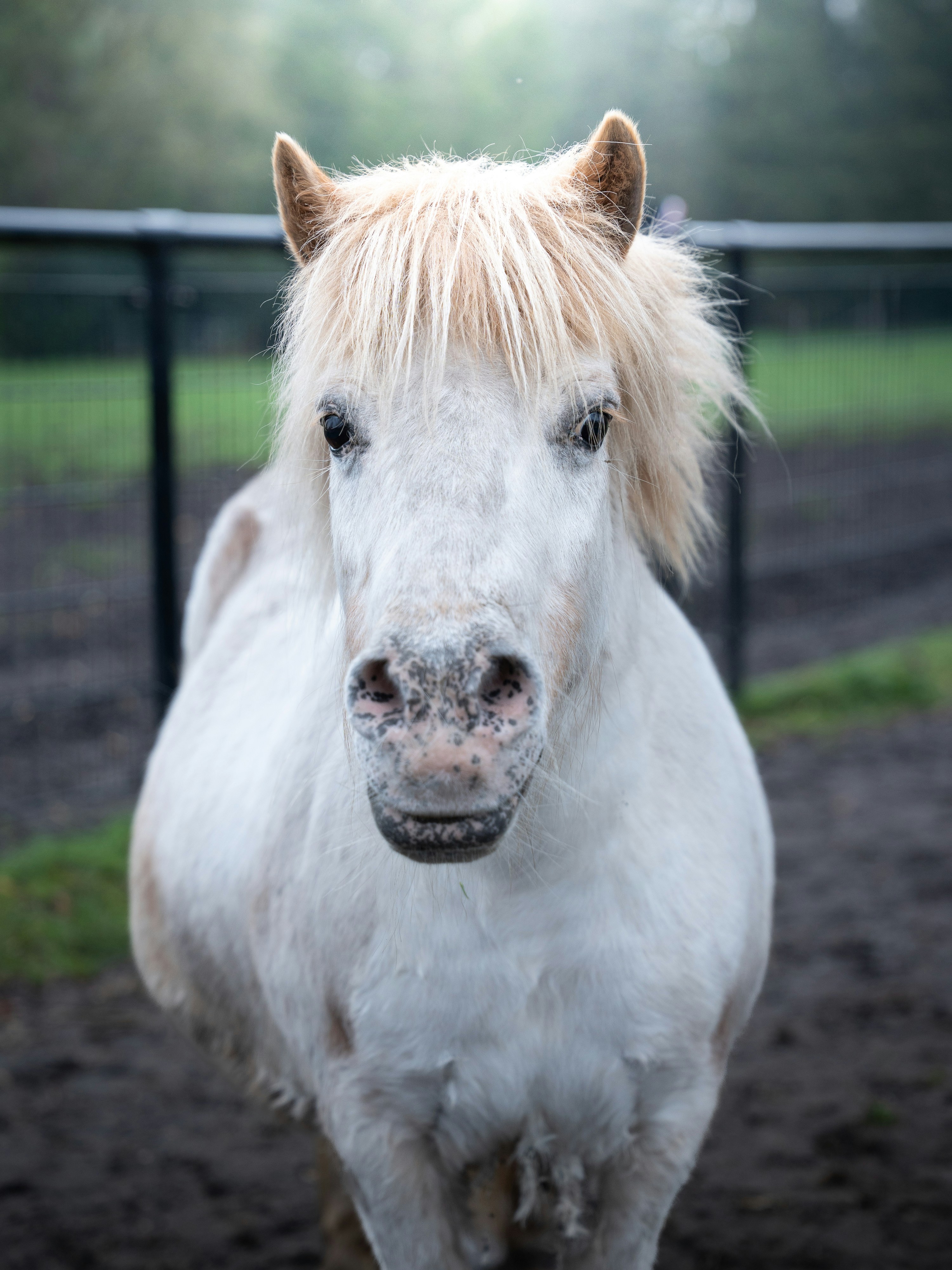 Photo by eliasderksen_photos