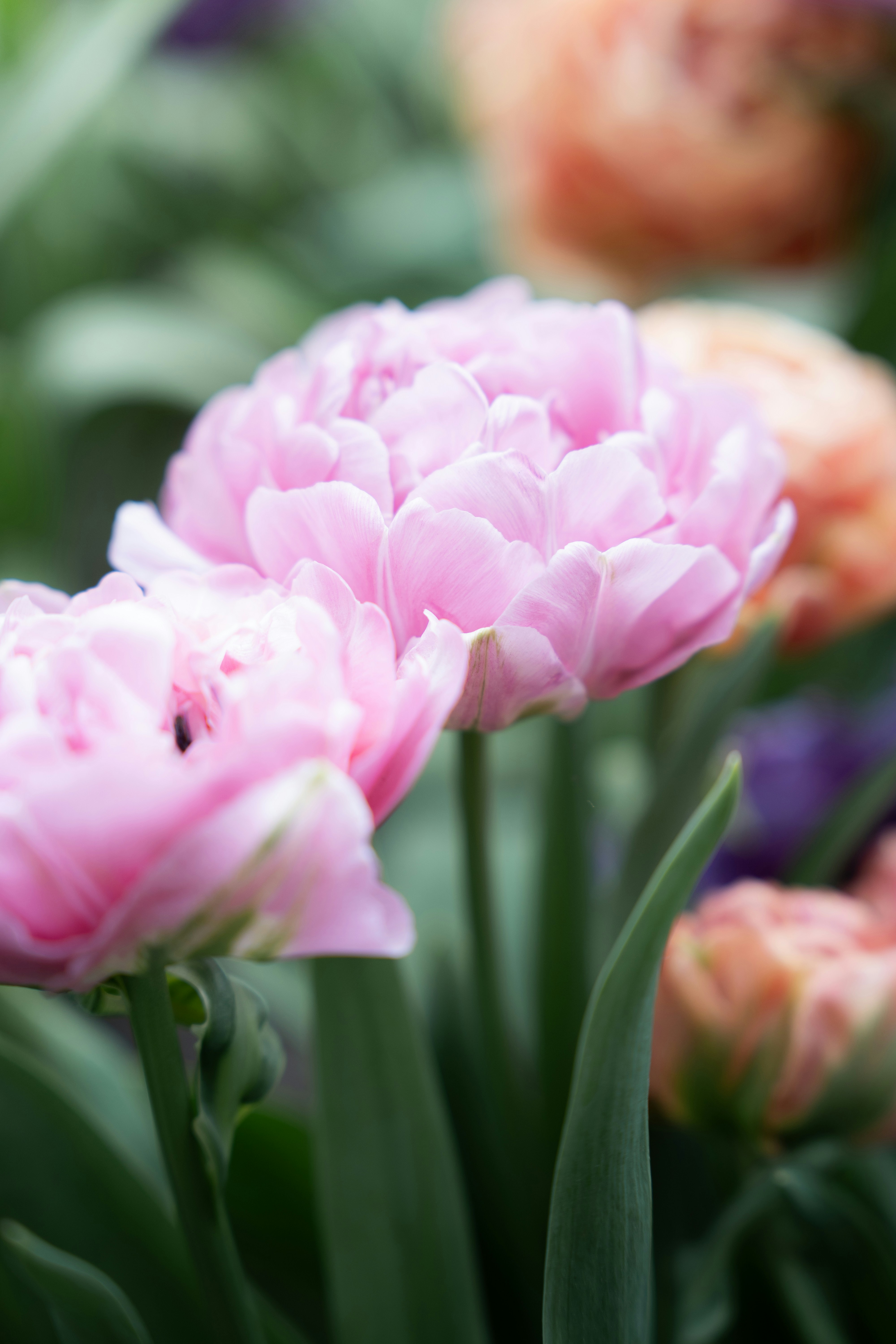 Photo by eliasderksen_photos