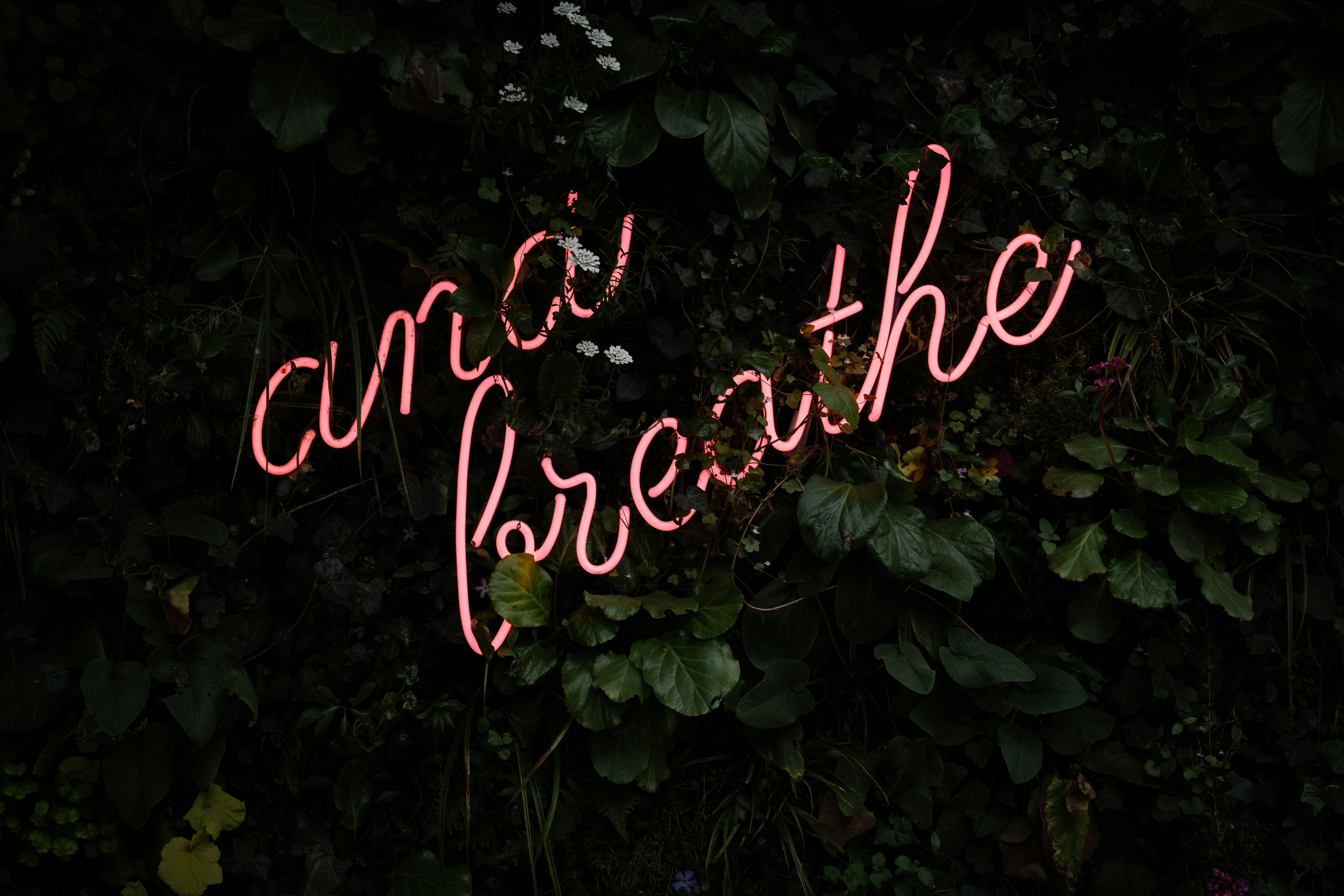 Neon sign reads "and breathe" on plants.