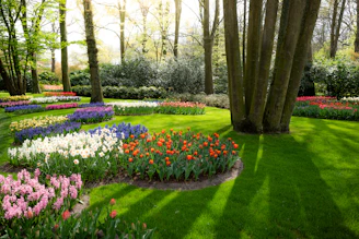 Colorful flower beds in a lush green park