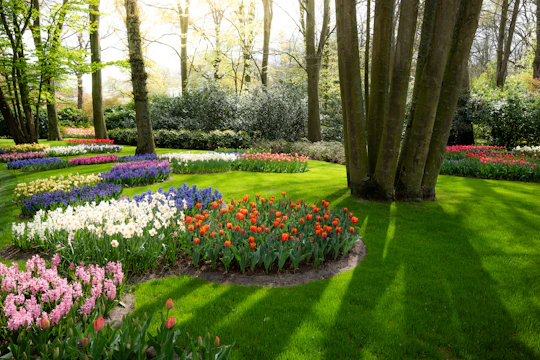 Colorful flower beds in a lush green park