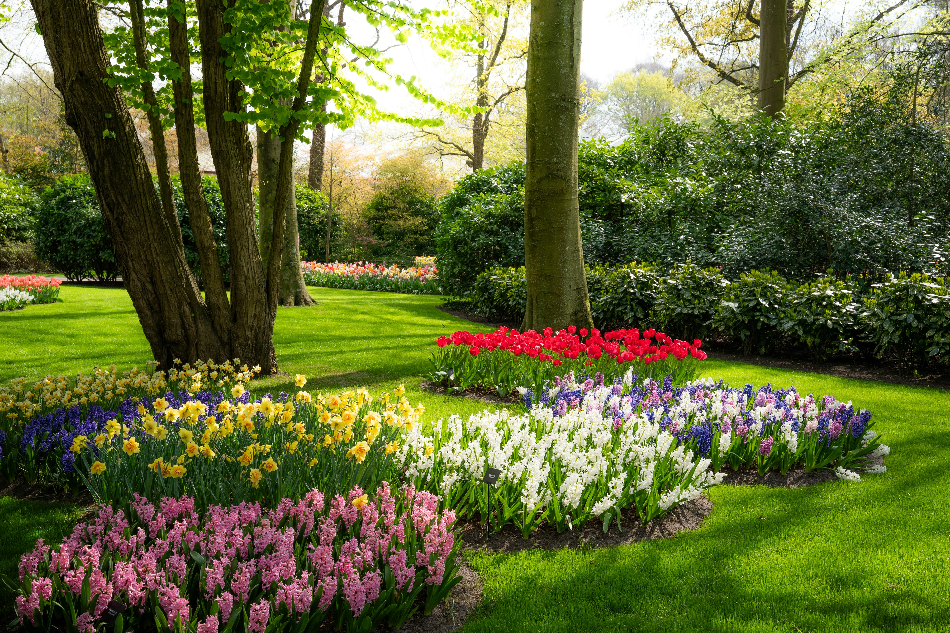 Photo by eliasderksen_photos