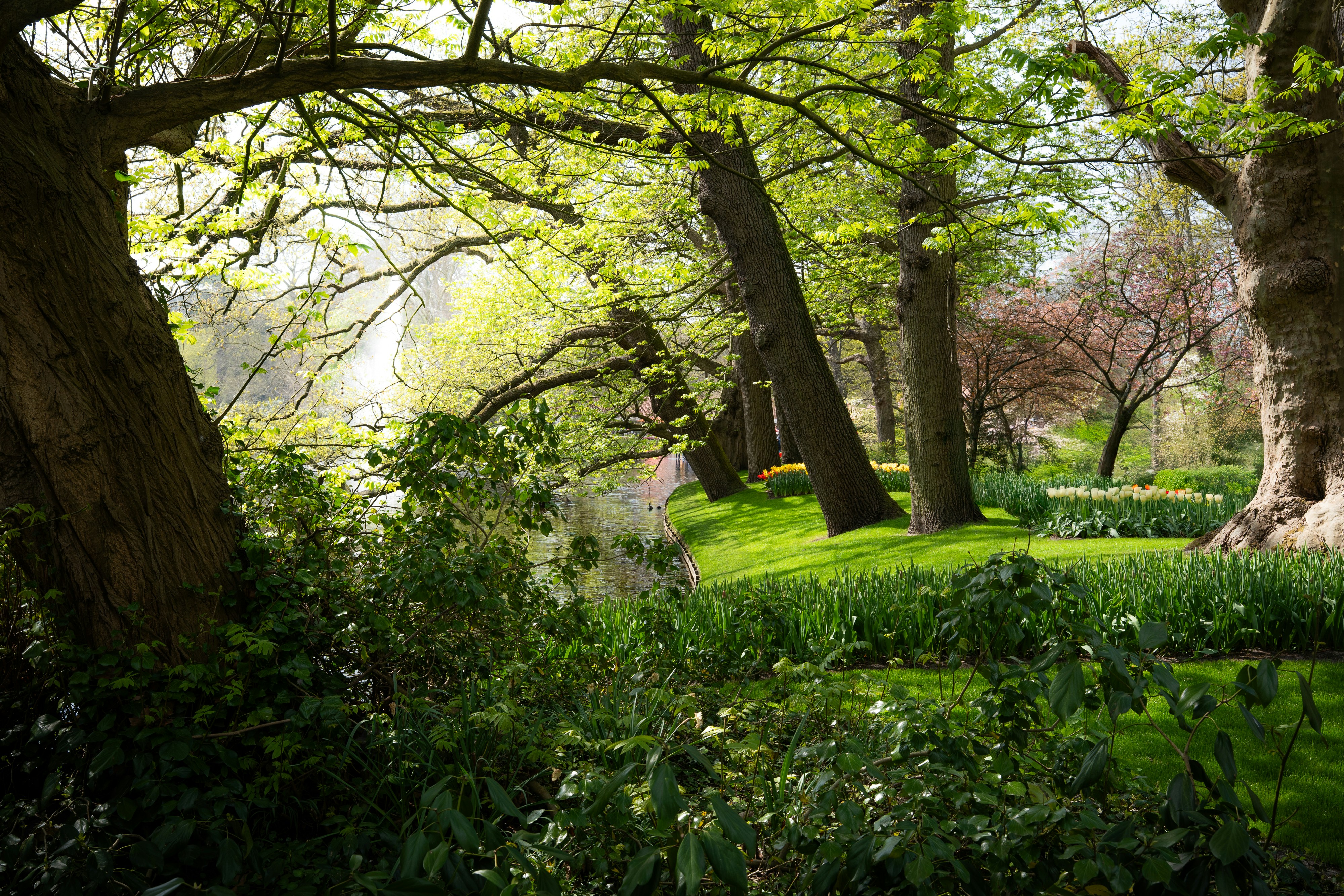 Photo by eliasderksen_photos