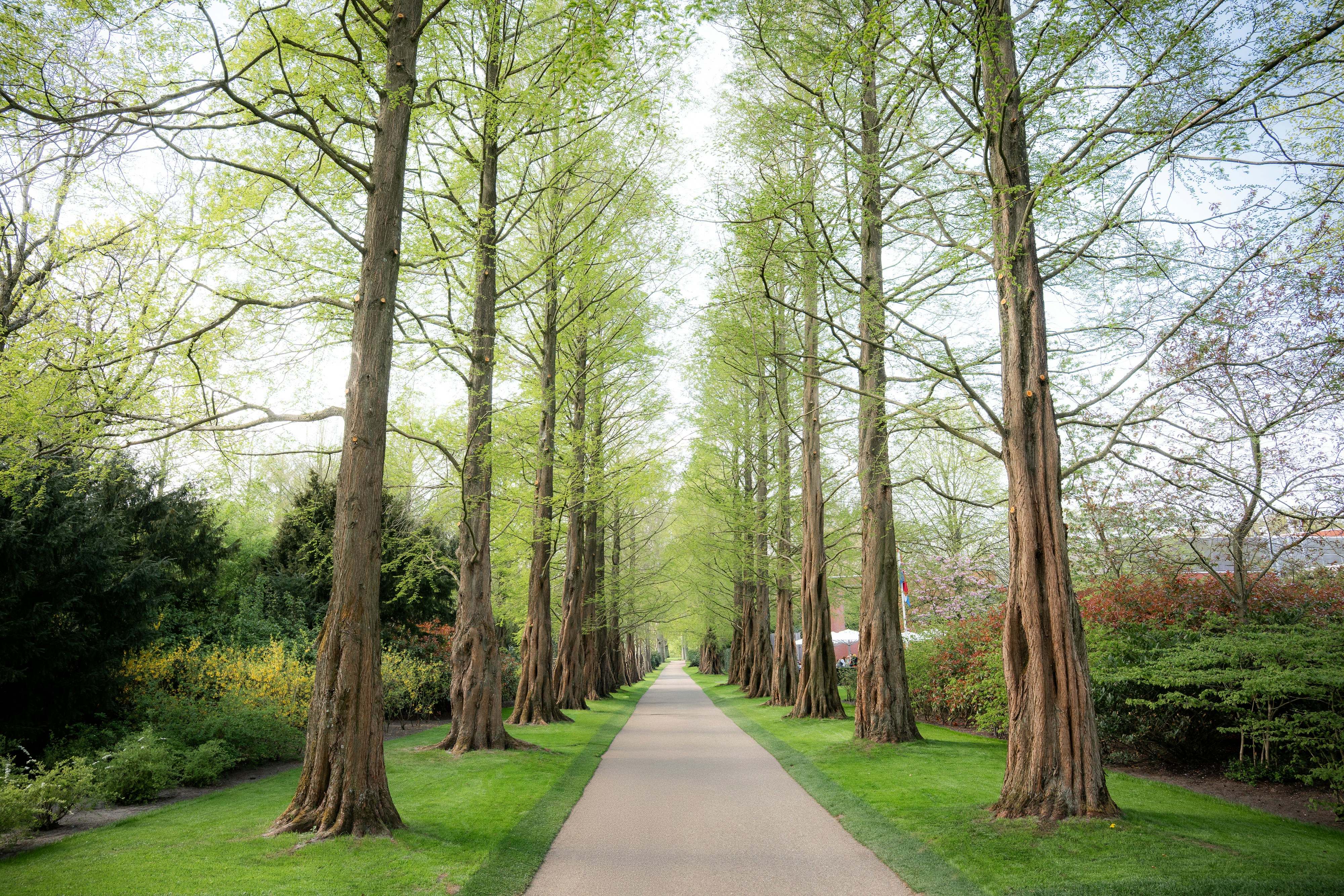 Photo by eliasderksen_photos